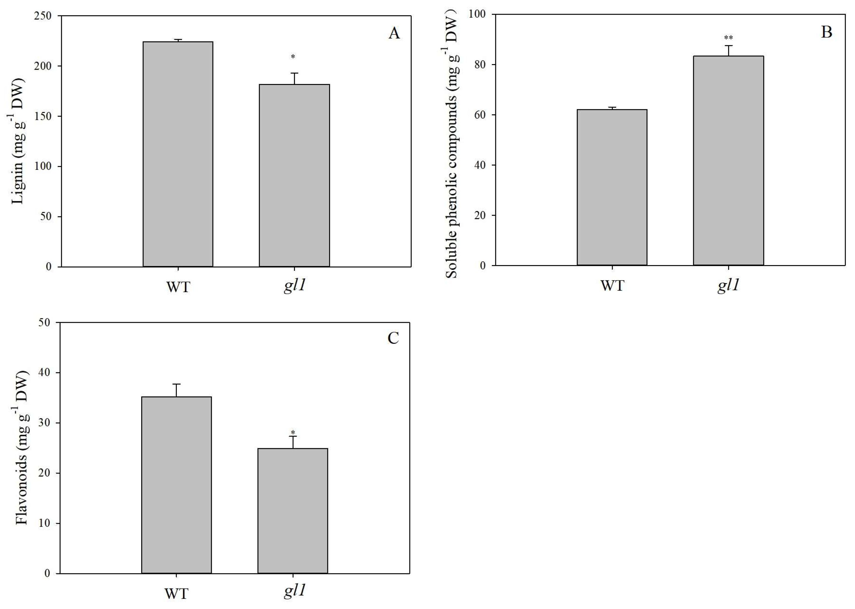 Plants 13 00315 g001