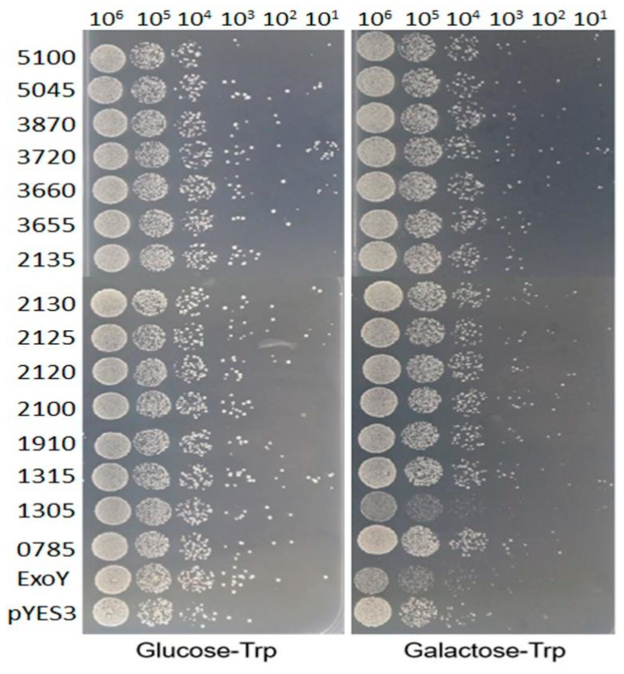 Plants 13 00318 g001