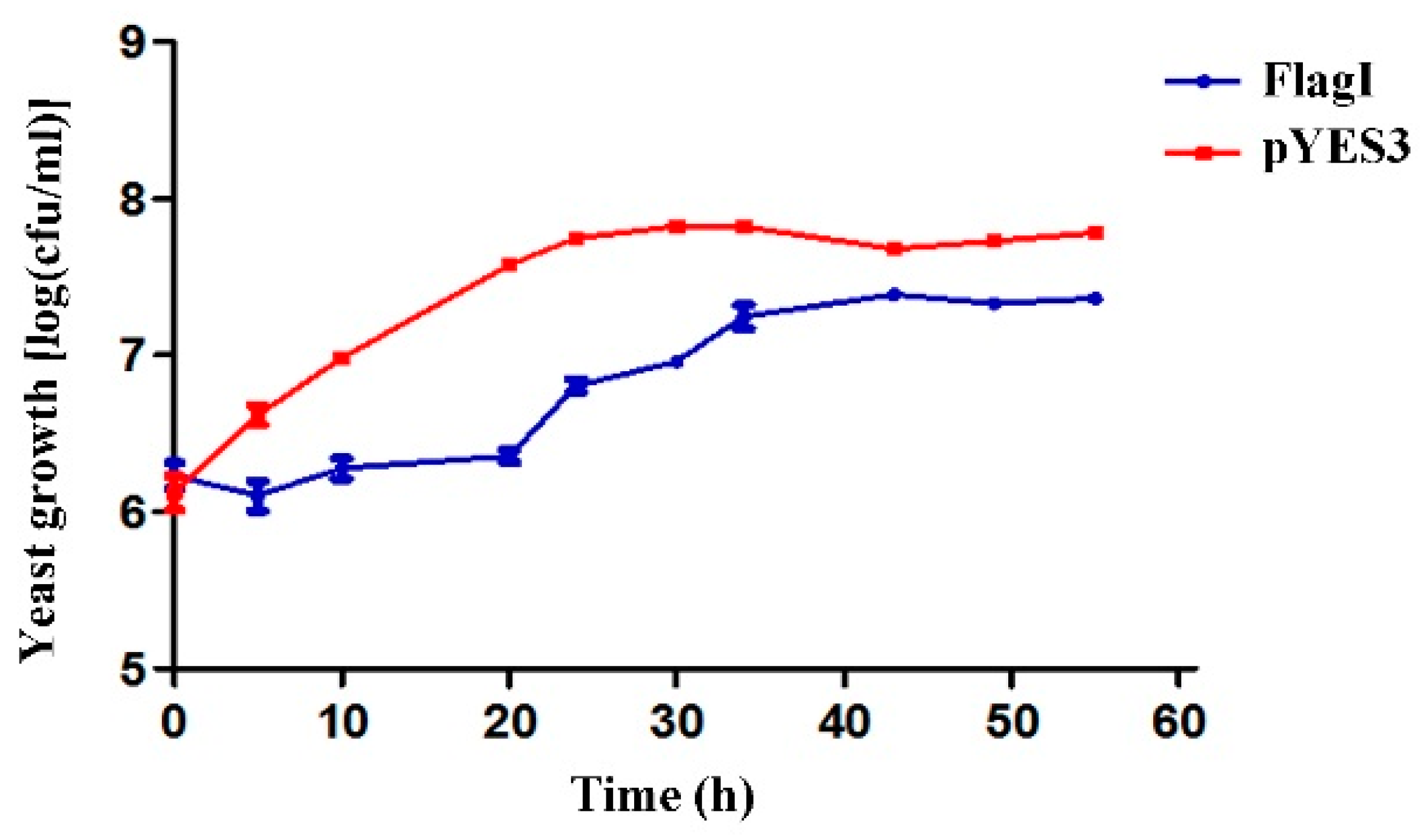 Plants 13 00318 g002
