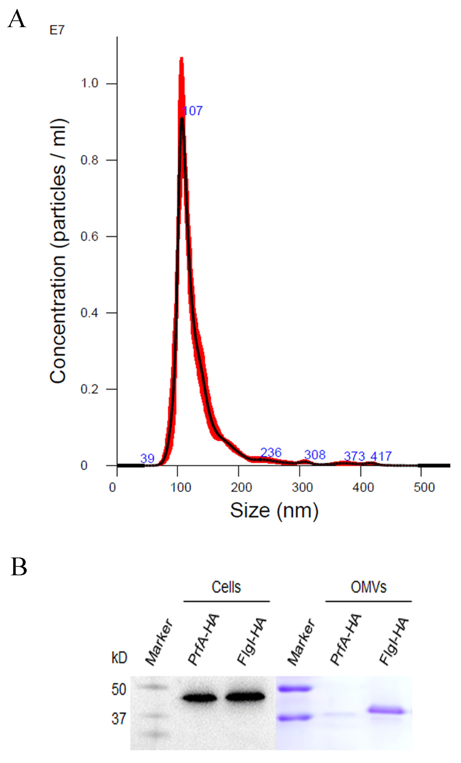Plants 13 00318 g004