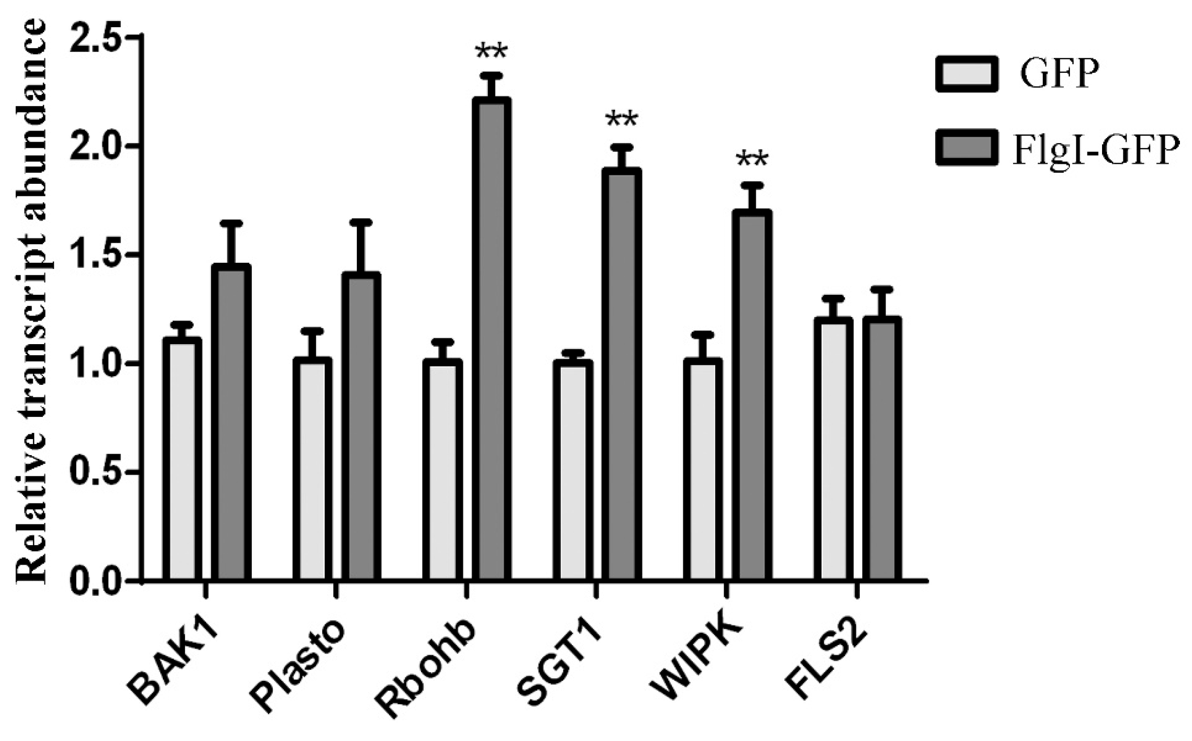 Plants 13 00318 g008