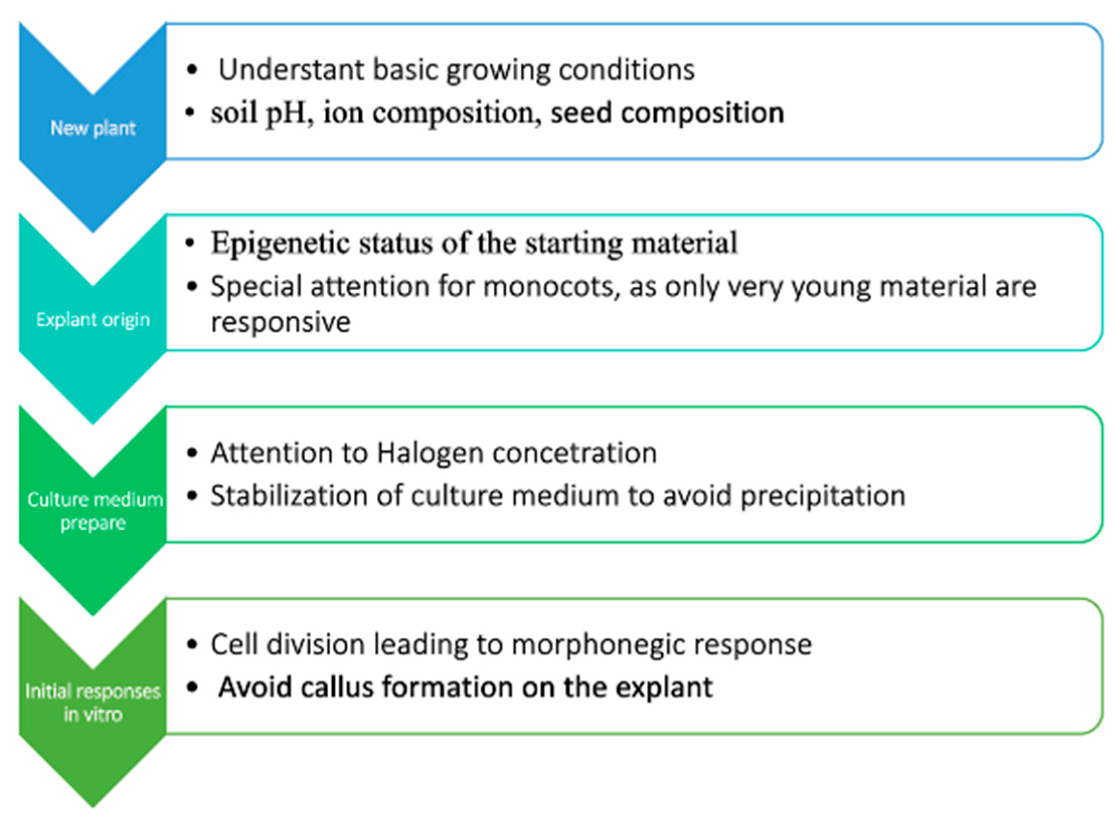 Plants 13 00327 g002