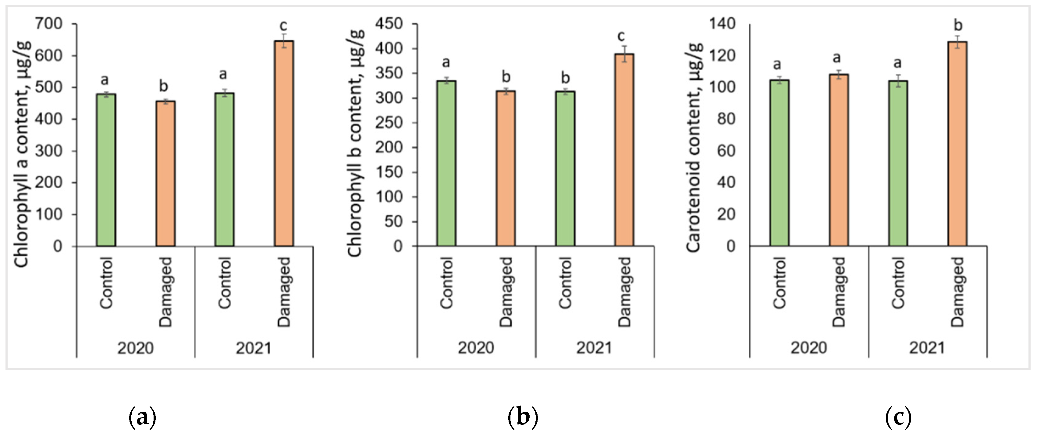 Plants 13 00328 g002