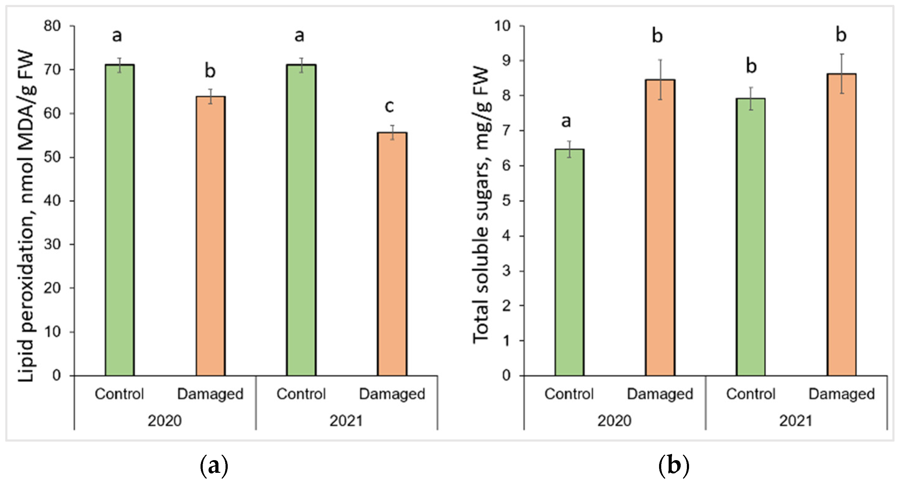 Plants 13 00328 g003
