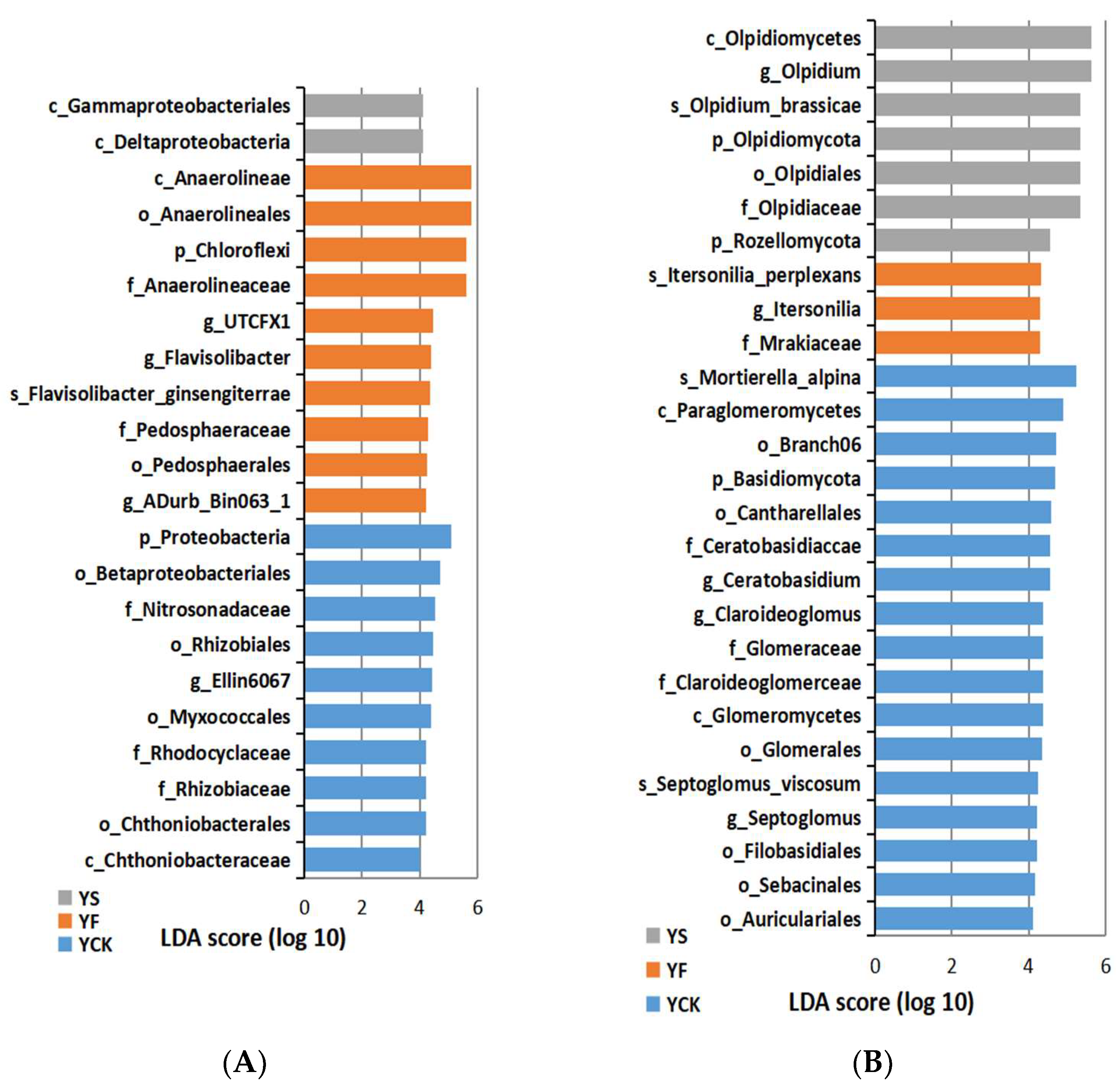 Plants 13 00329 g006