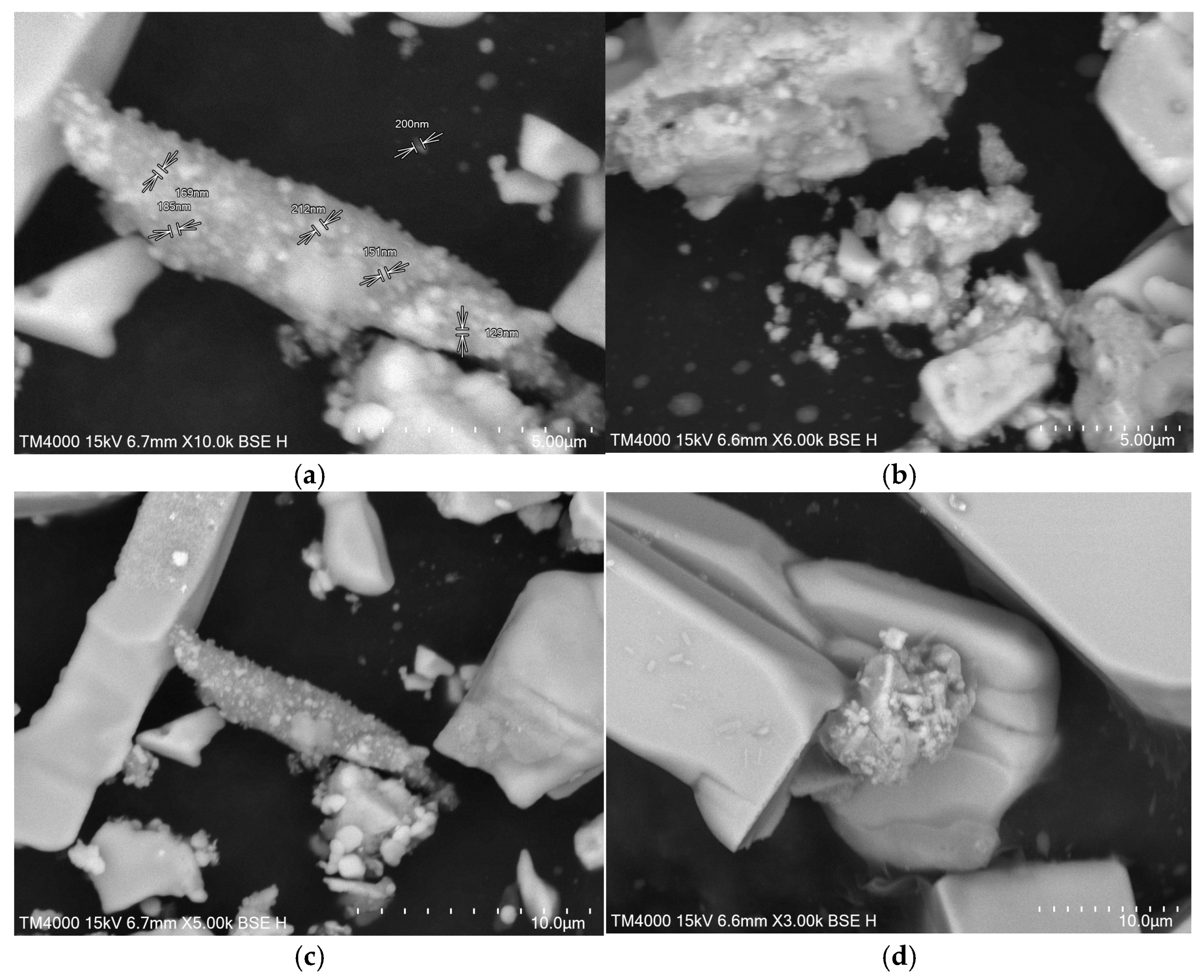 Plants 13 00333 g006