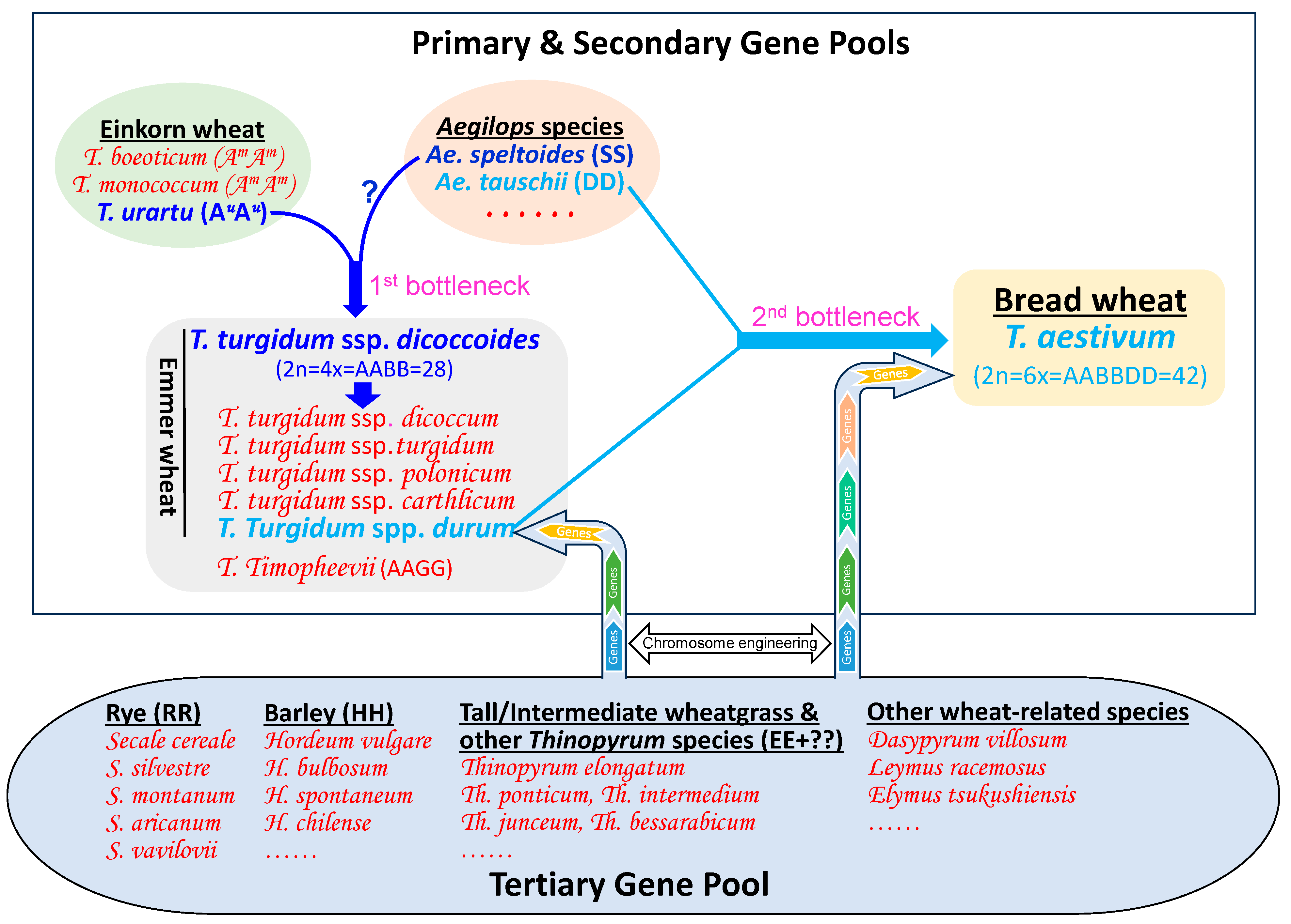 Plants 13 00339 g001 Plants 13 00339 g001