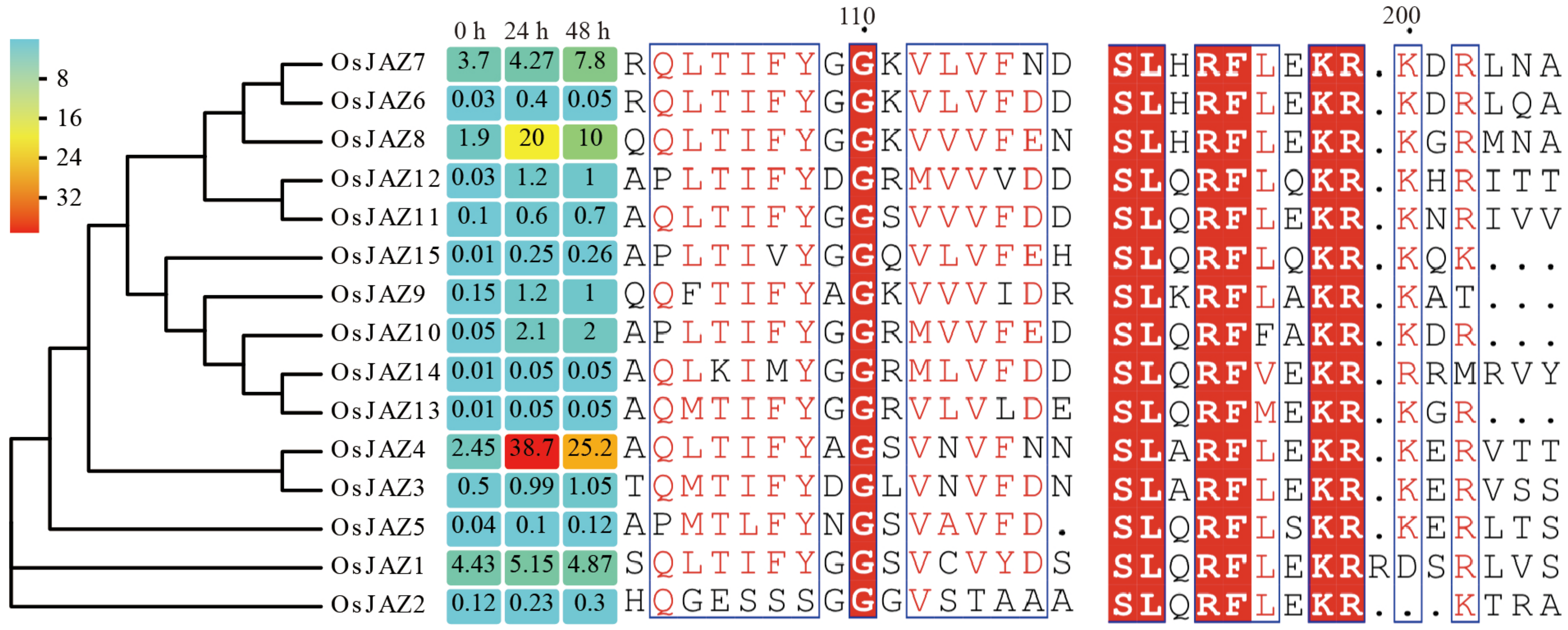 Plants 13 00348 g001