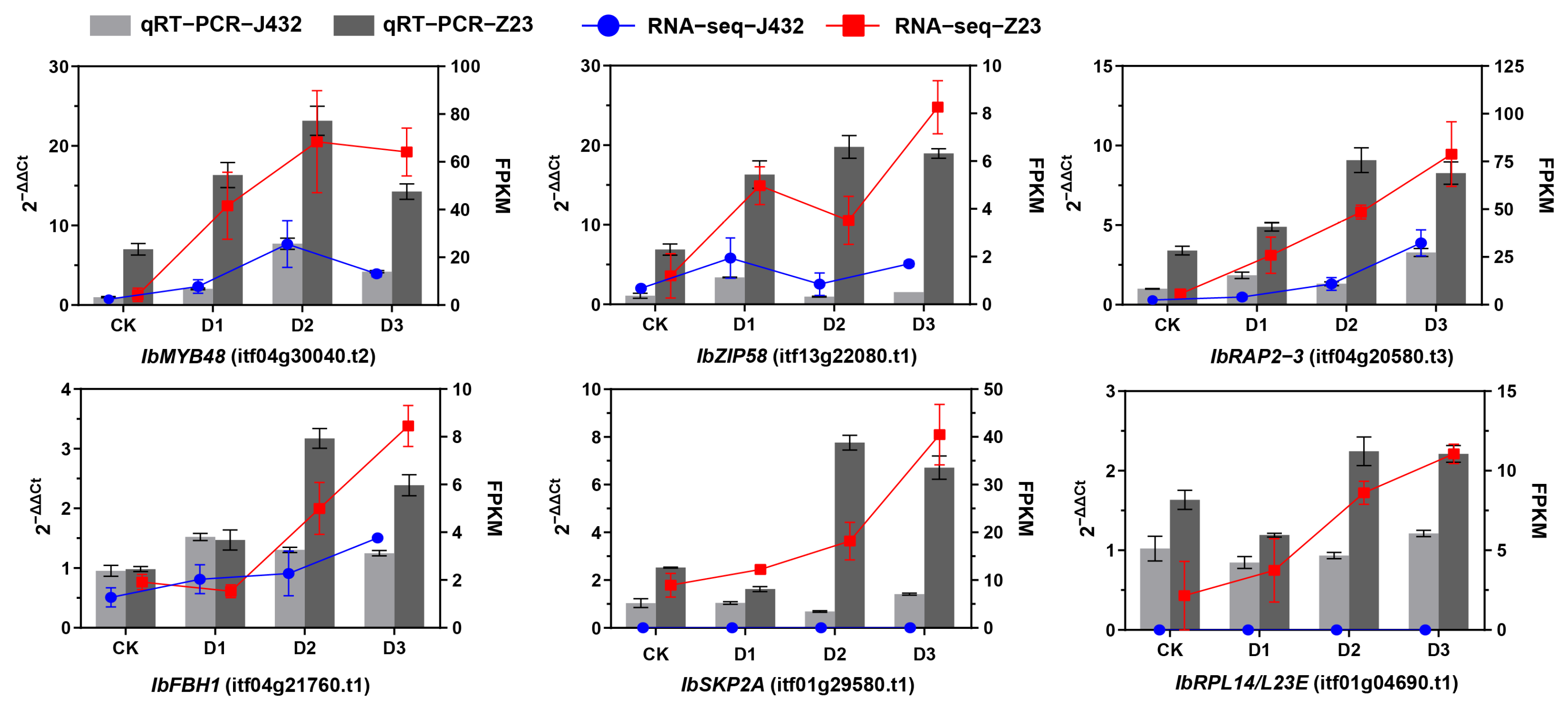 Plants 13 00351 g004