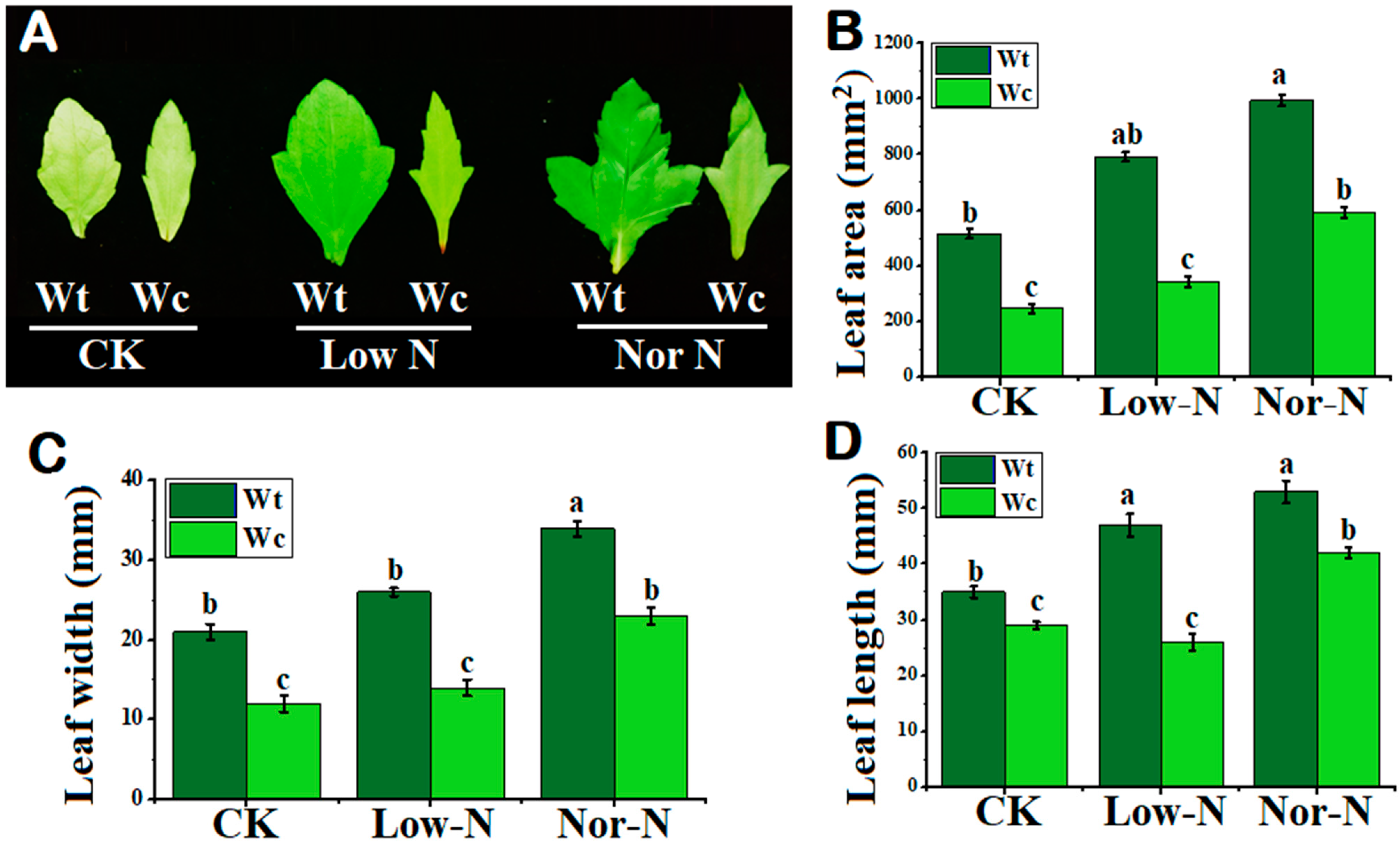 Plants 13 00355 g003