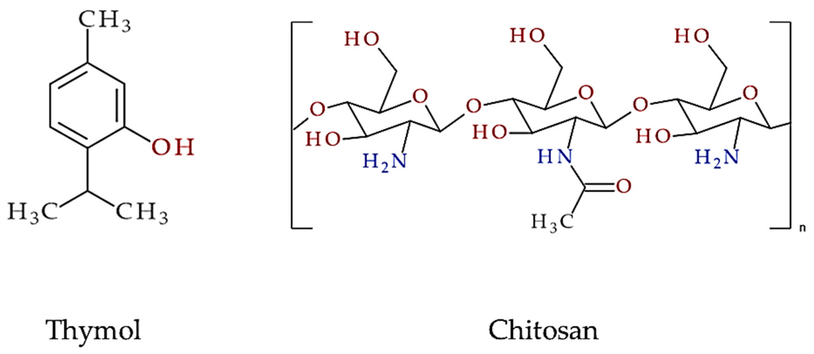 Plants 13 00362 g001