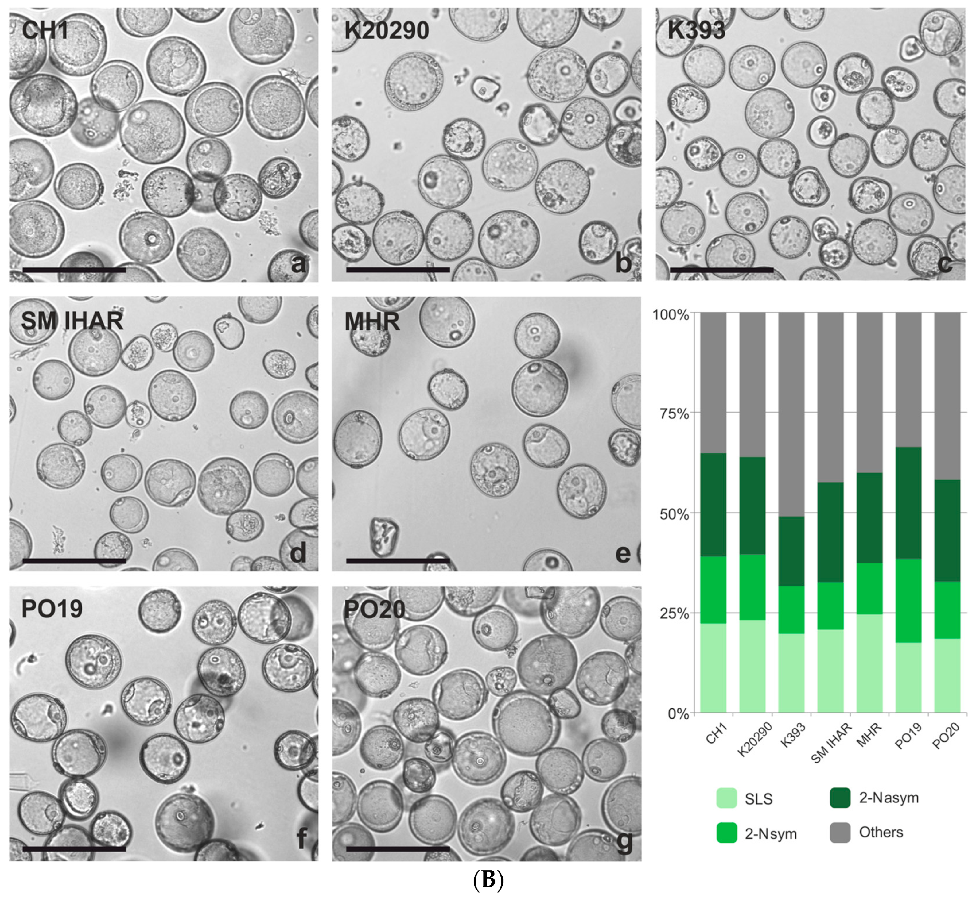 Plants 13 00363 g002b