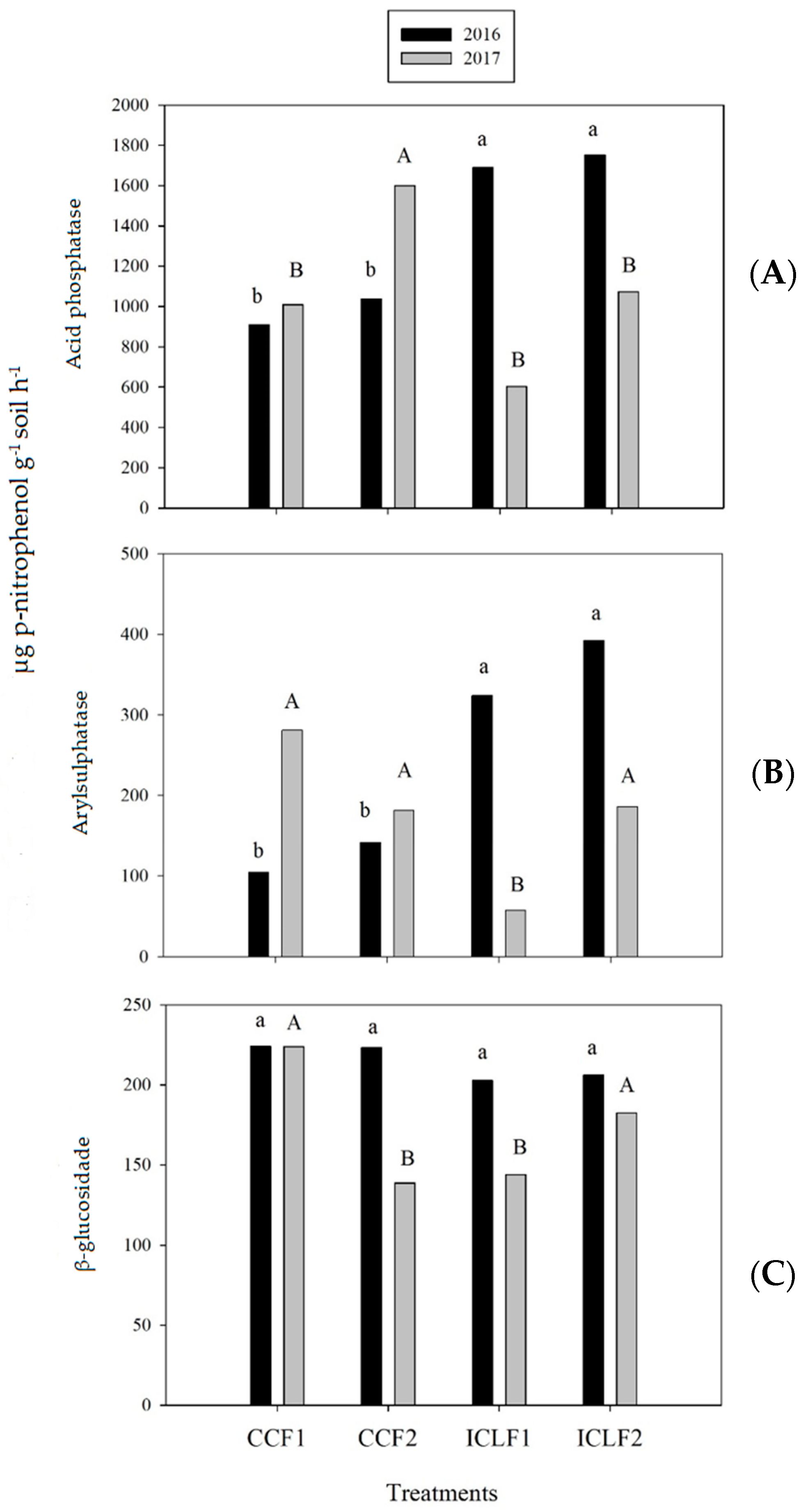 Plants 13 00365 g001