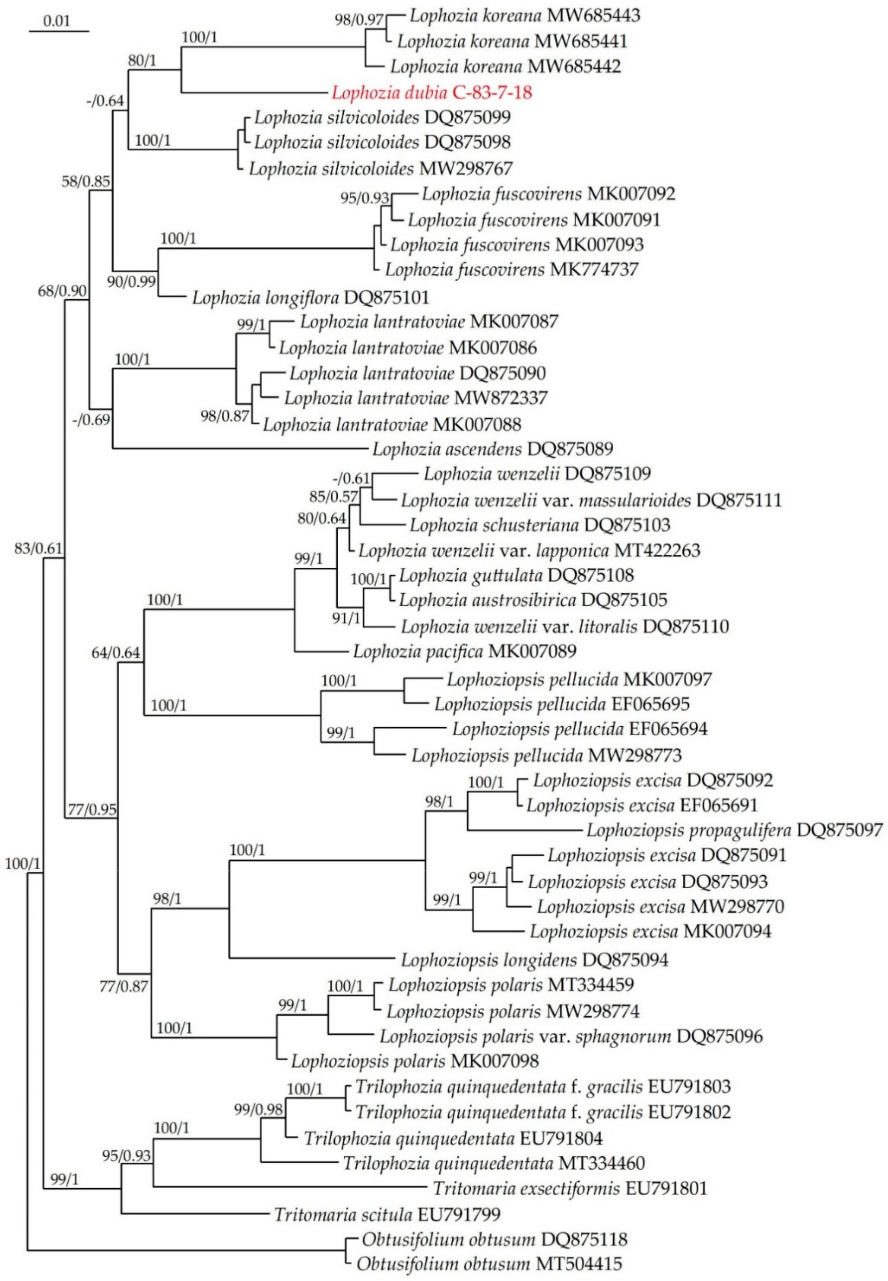Plants 13 00367 g002