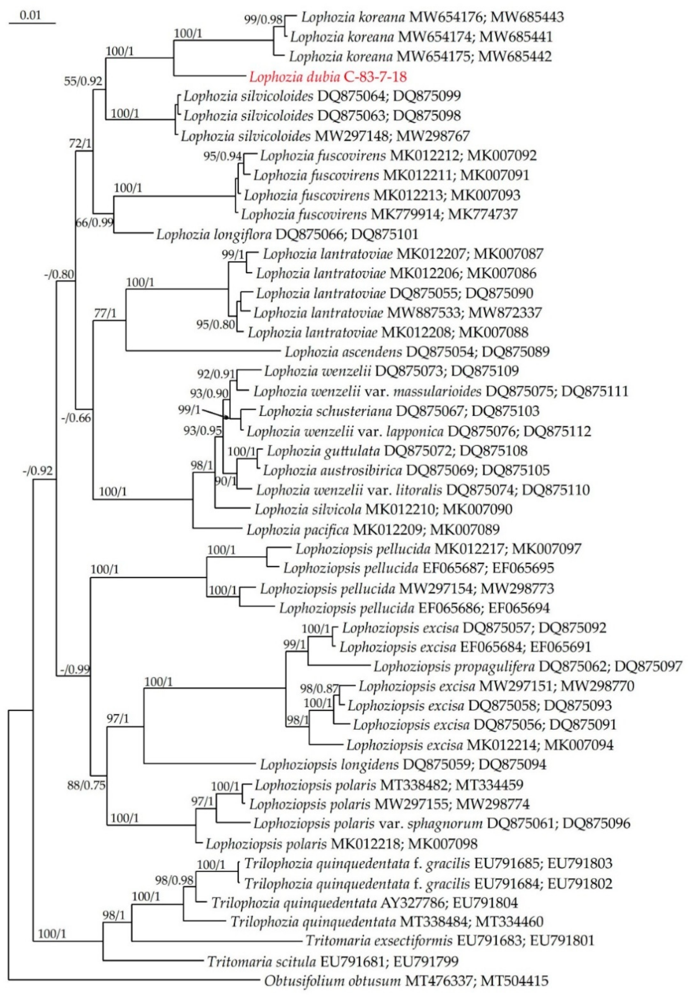 Plants 13 00367 g003
