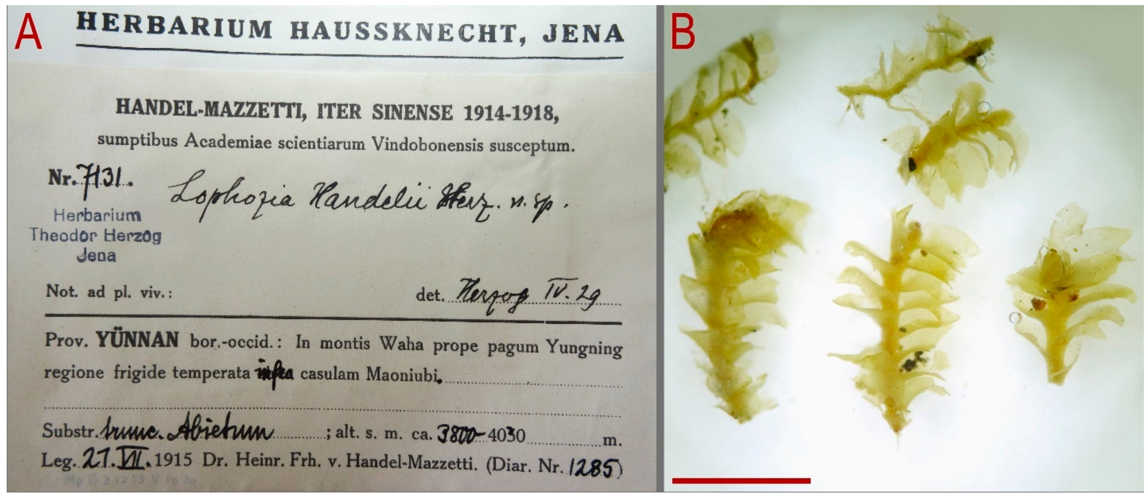 Plants 13 00367 g007