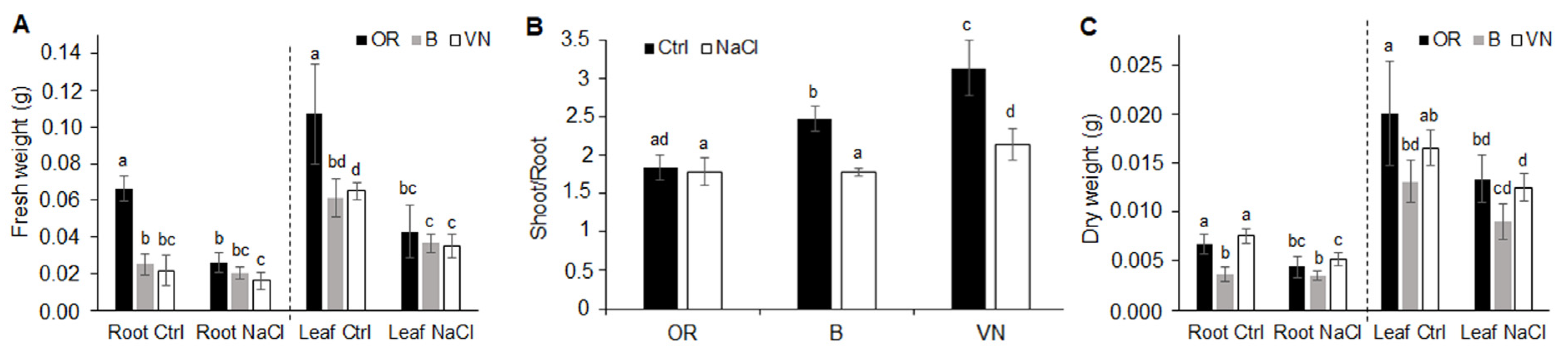 Plants 13 00369 g002