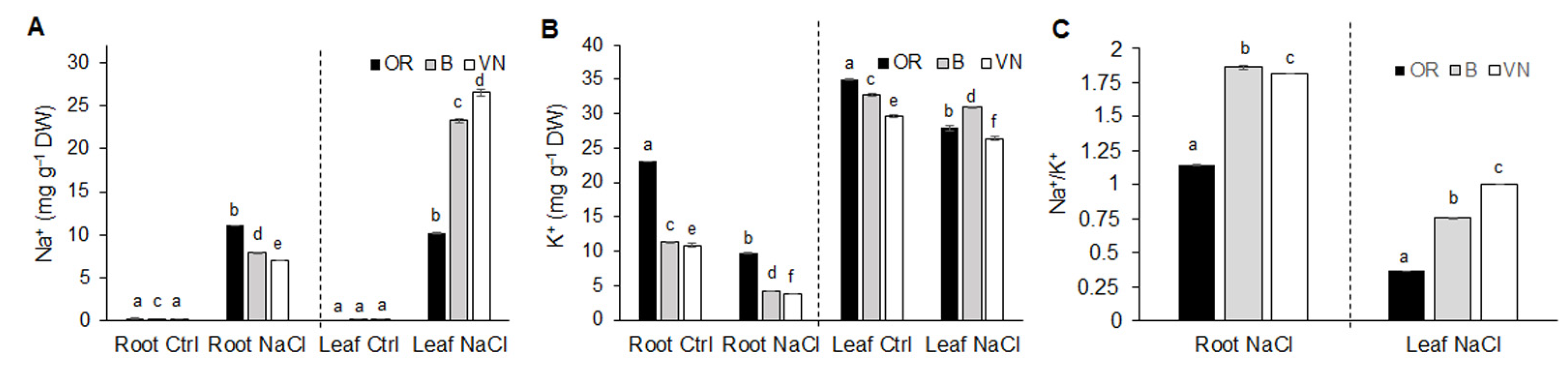 Plants 13 00369 g003