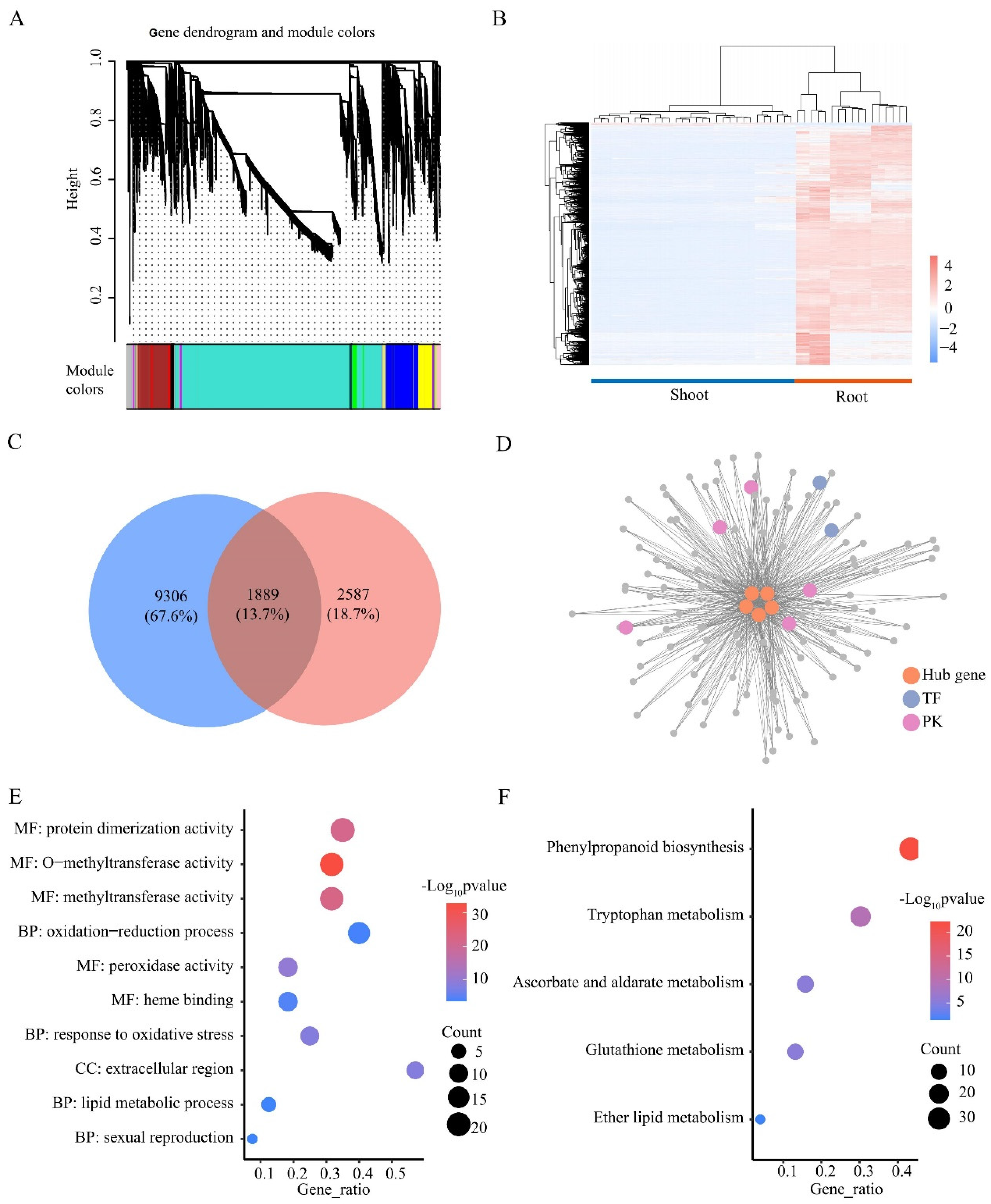 Plants 13 00371 g007