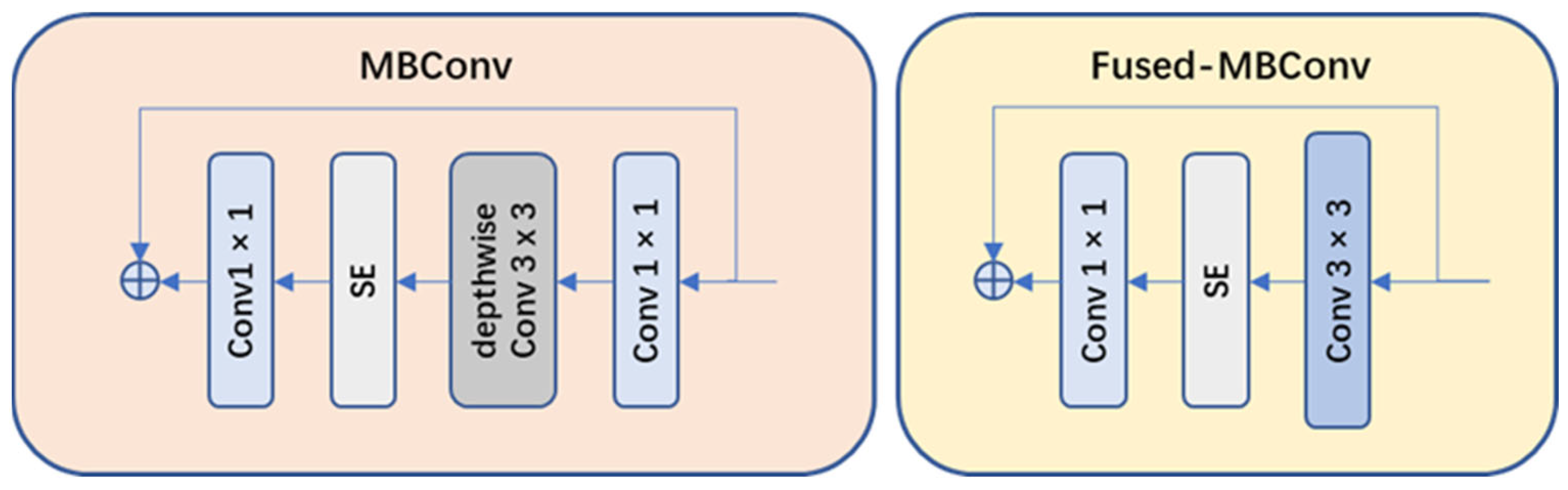 Plants 13 00372 g008