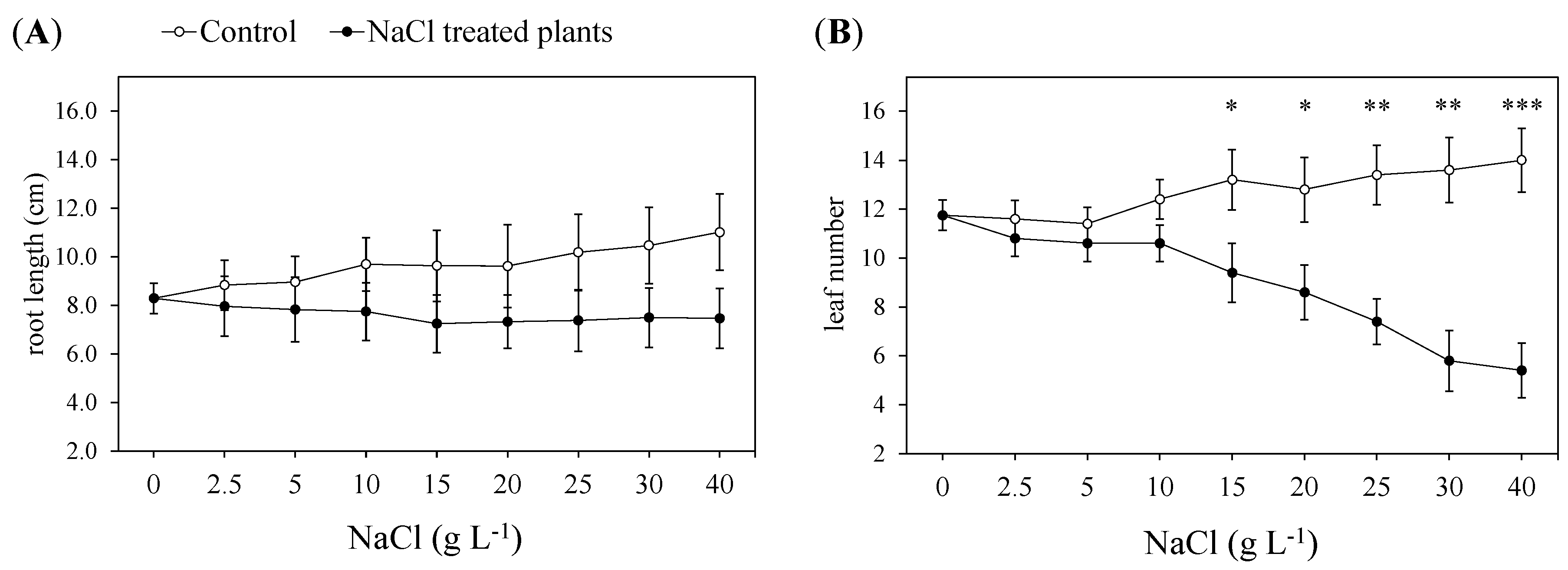 Plants 13 00378 g002