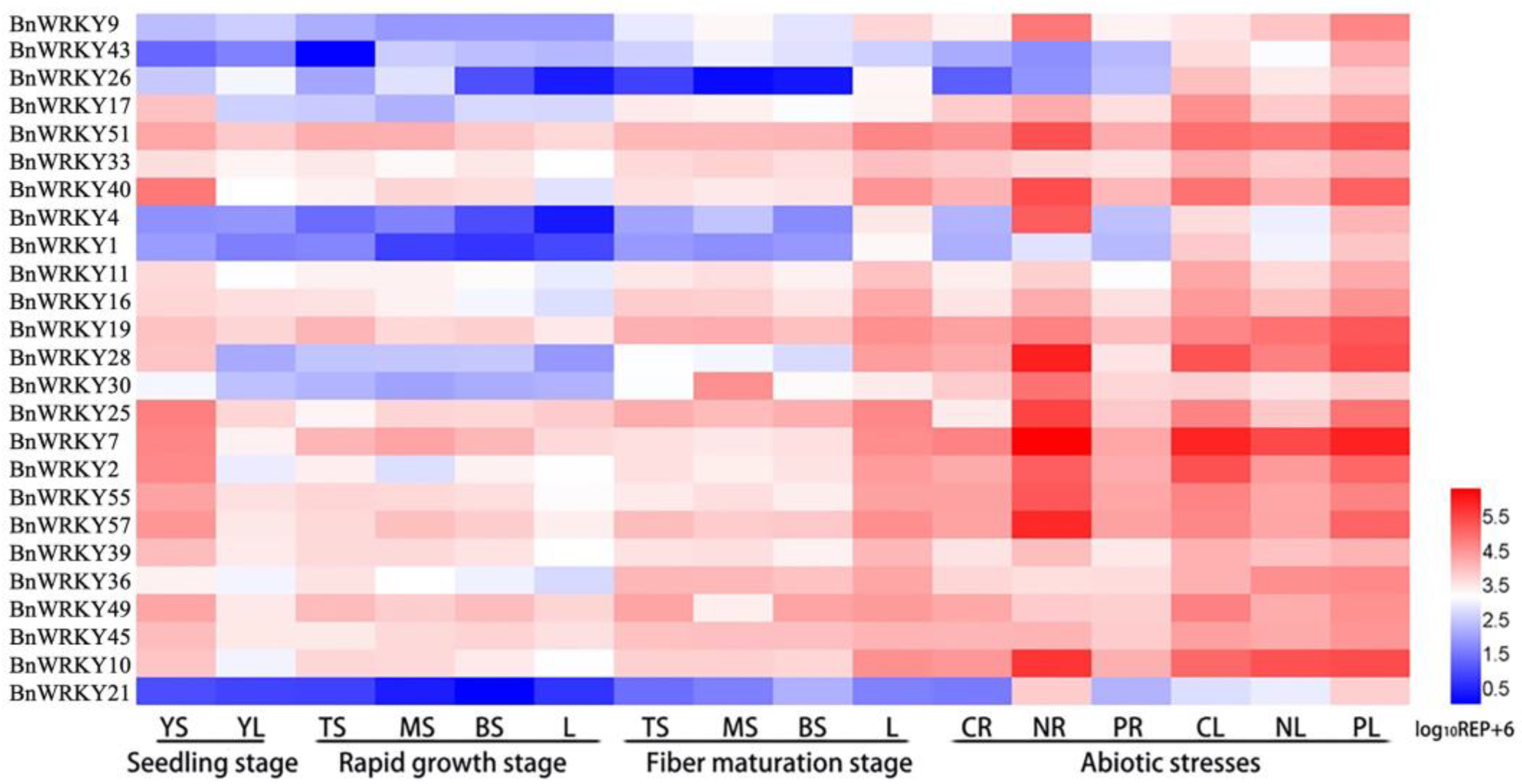 Plants 13 00379 g001