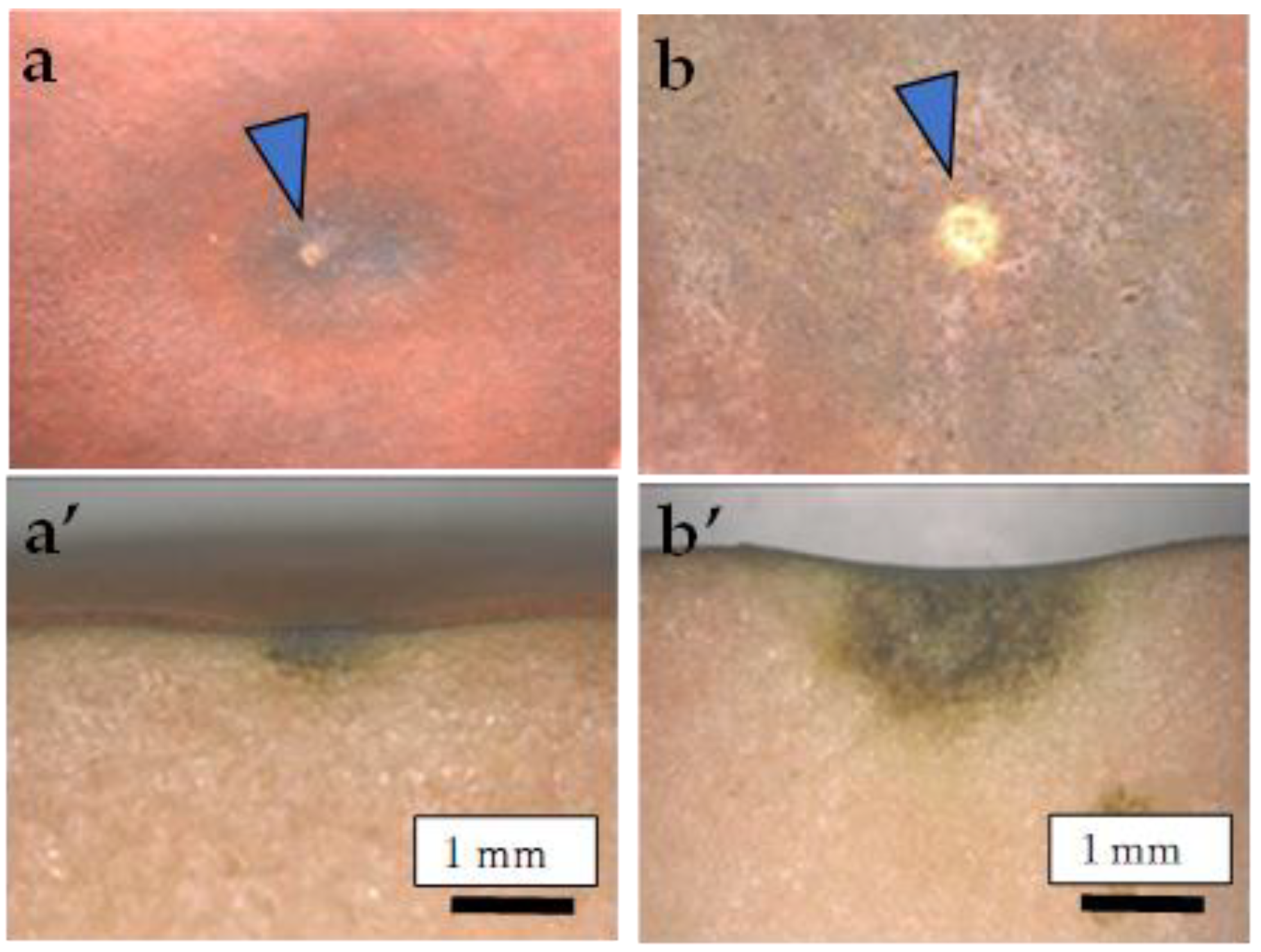 Plants 13 00381 g001 Plants 13 00381 g001