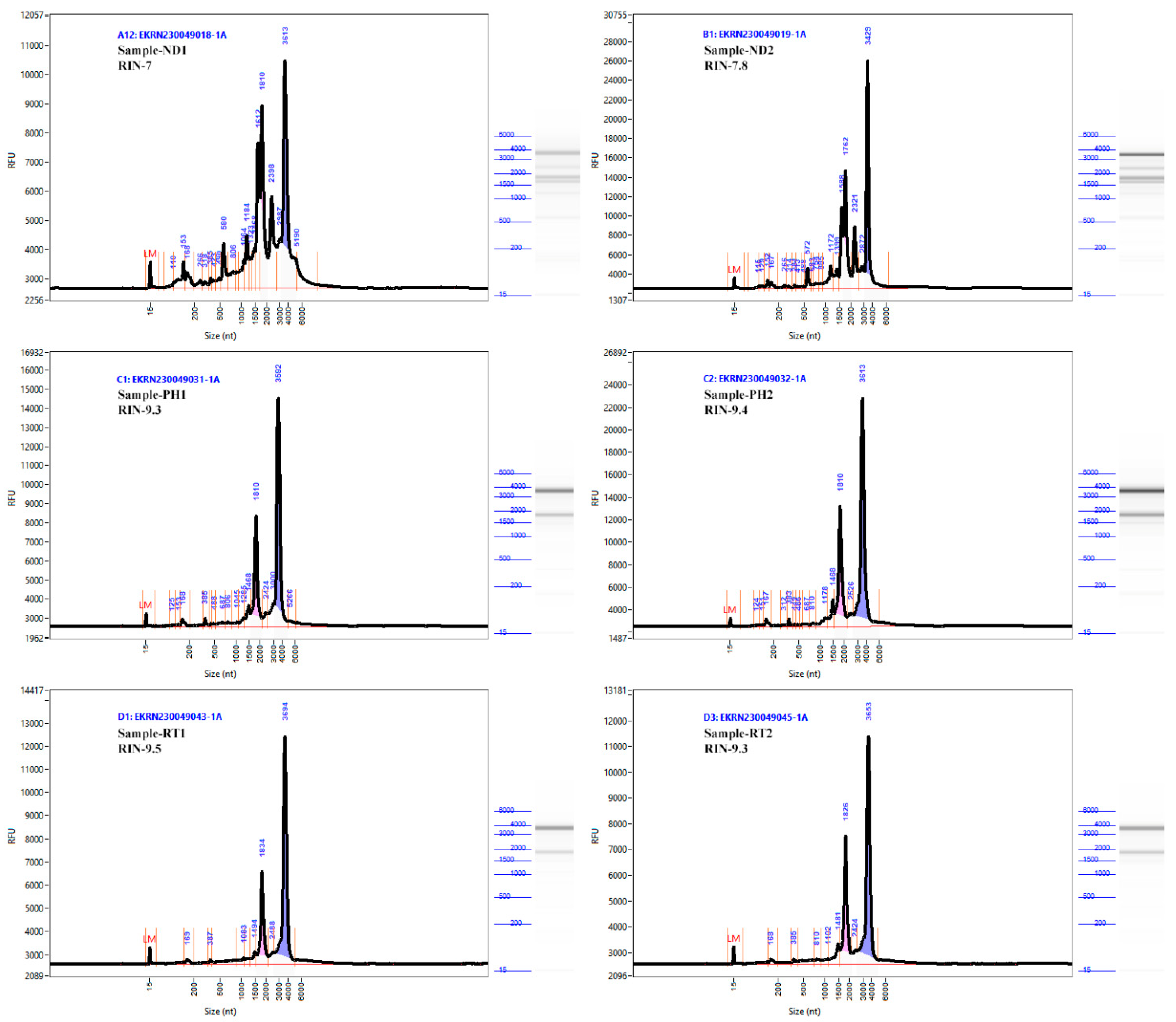 Plants 13 00389 g002