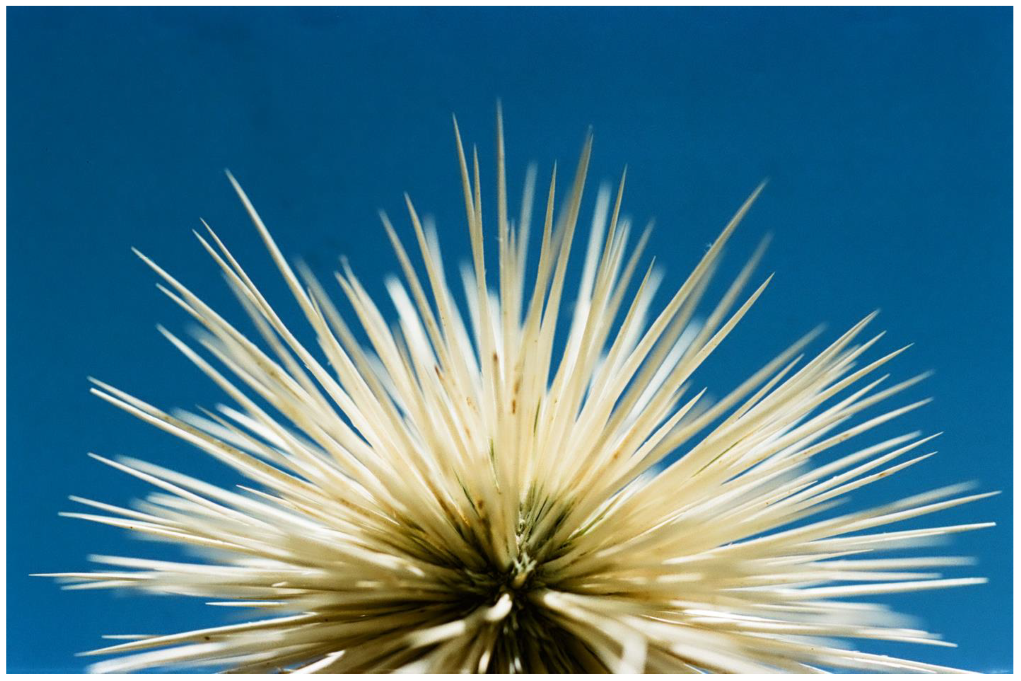 Plants 13 00391 g002 Plants 13 00391 g002