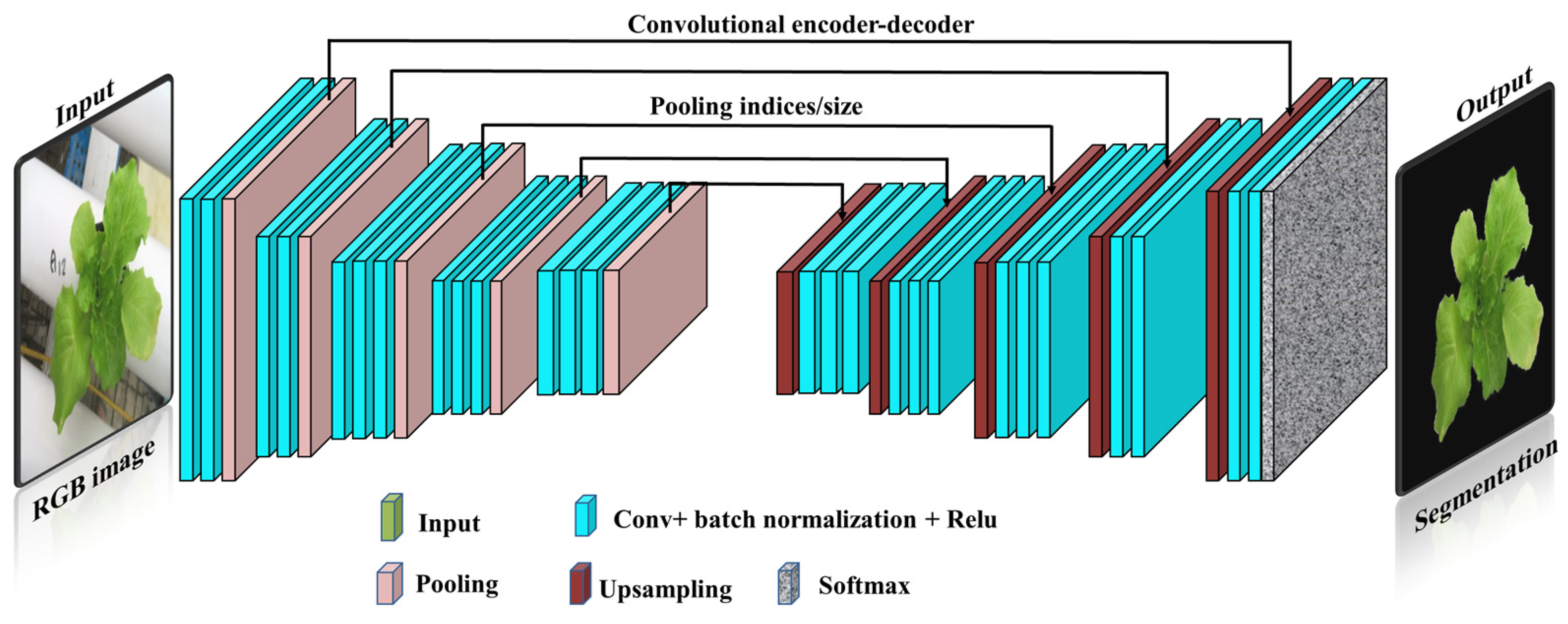 Plants 13 00392 g003