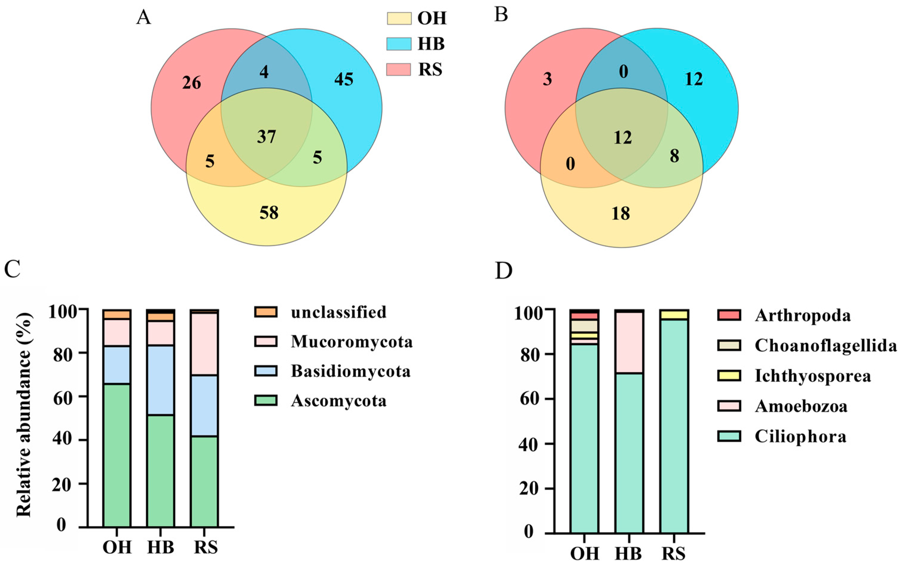 Plants 13 00393 g002