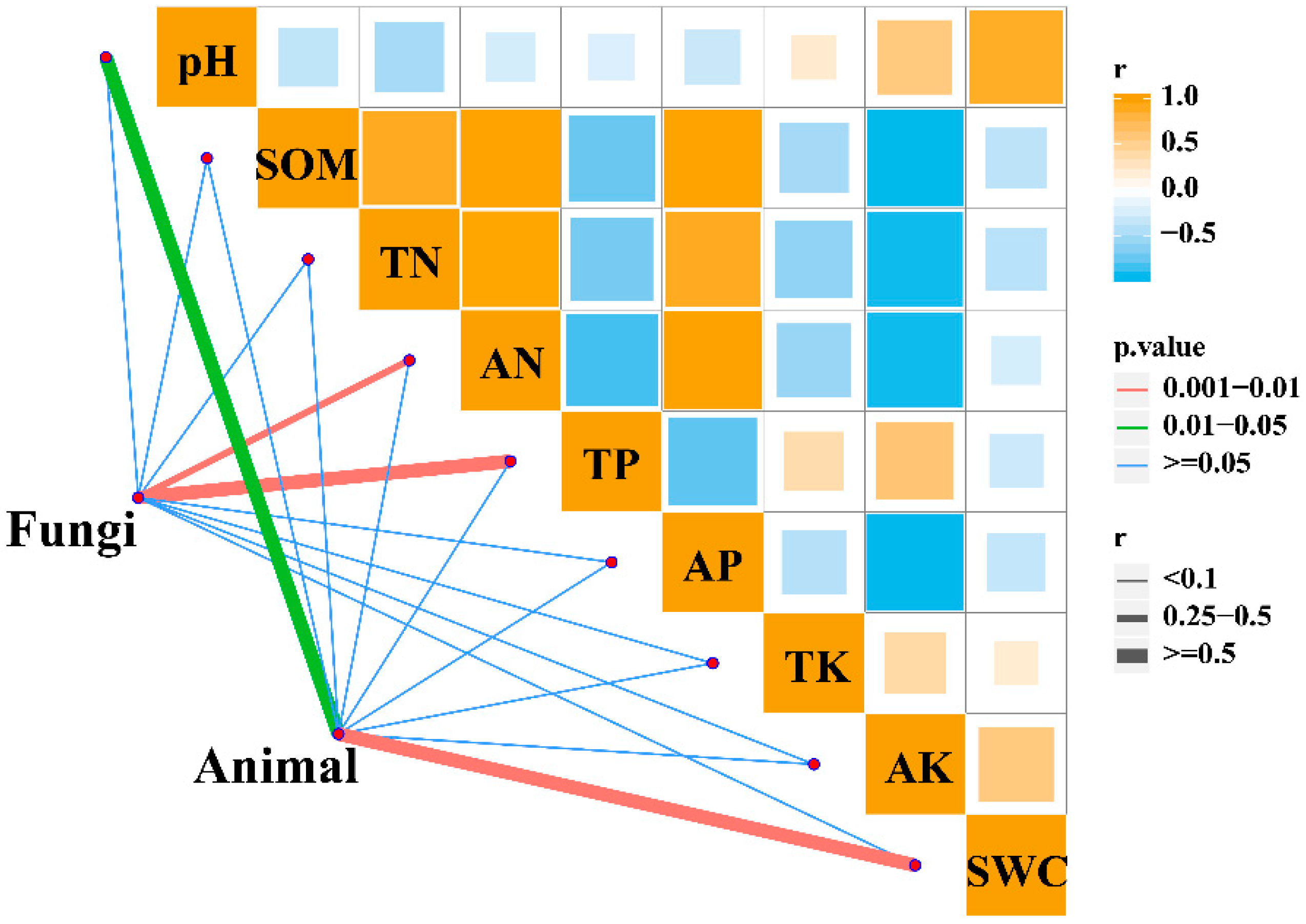 Plants 13 00393 g005