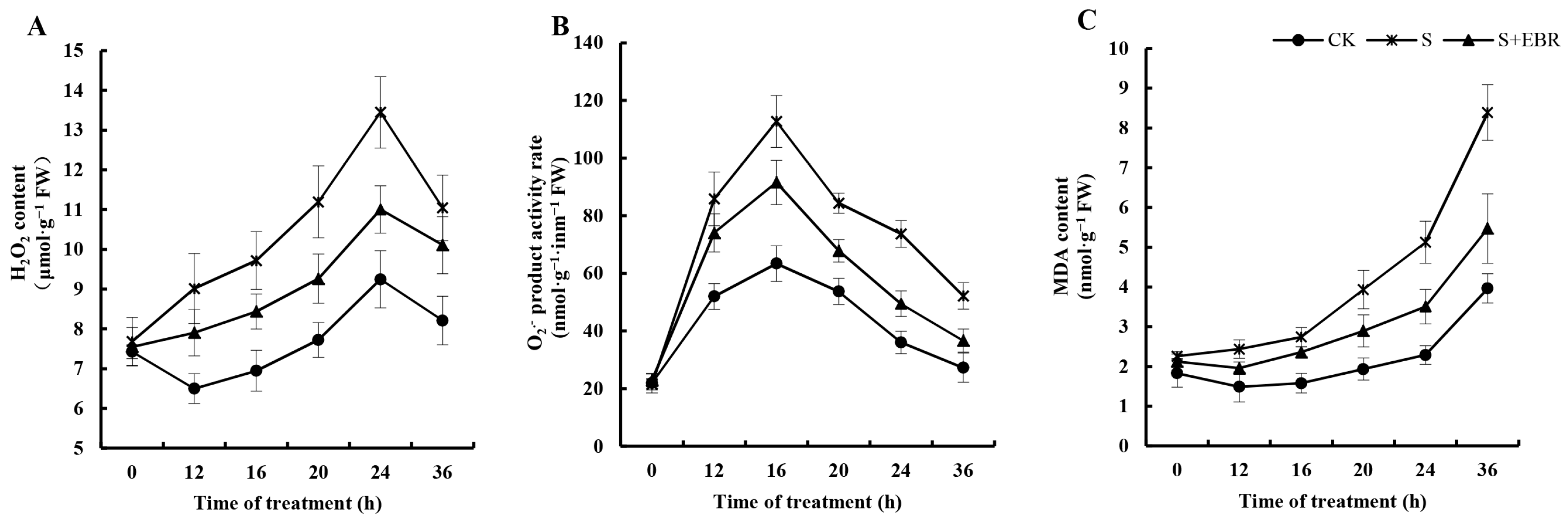 Plants 13 00394 g003