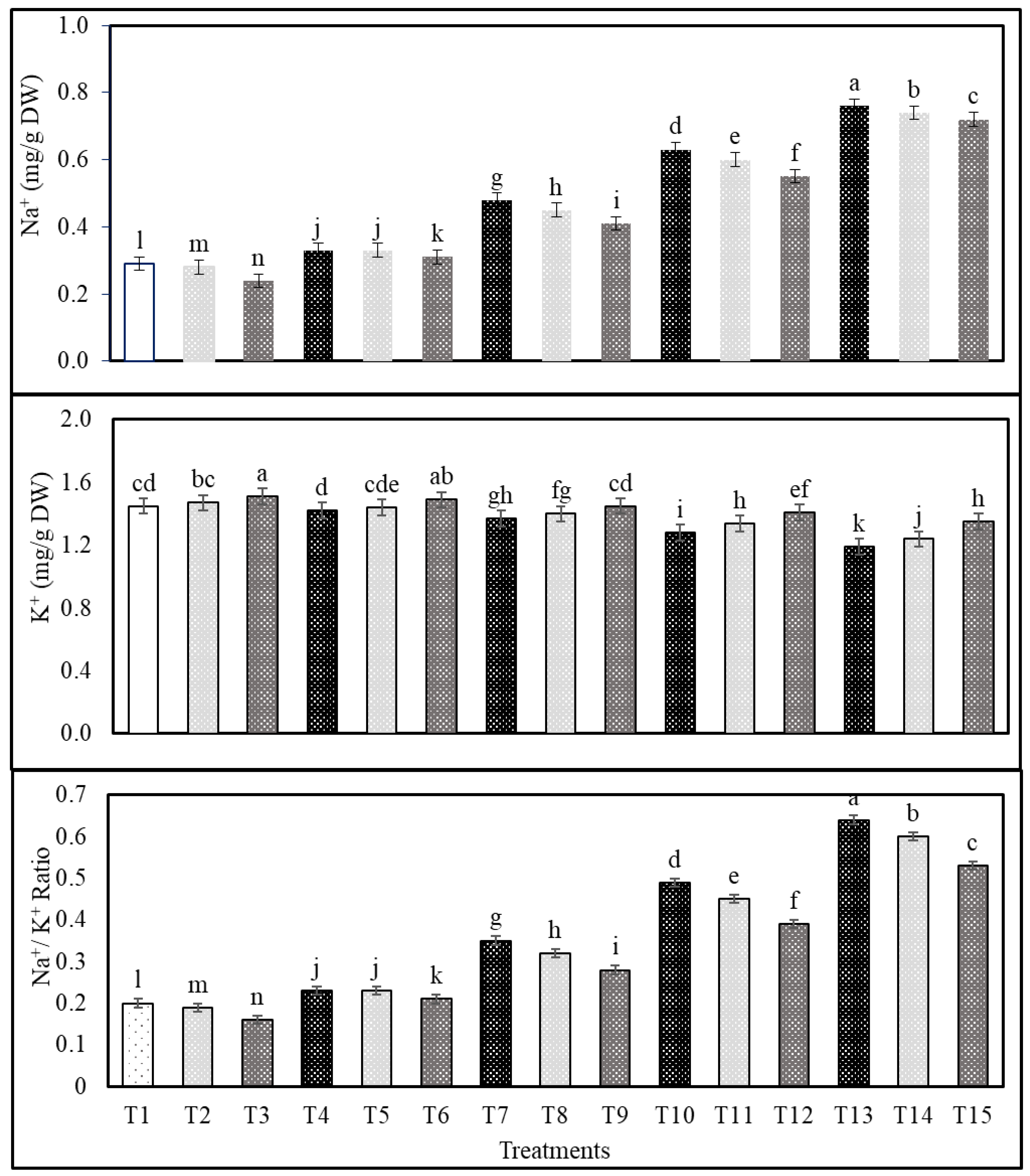 Plants 13 00398 g001