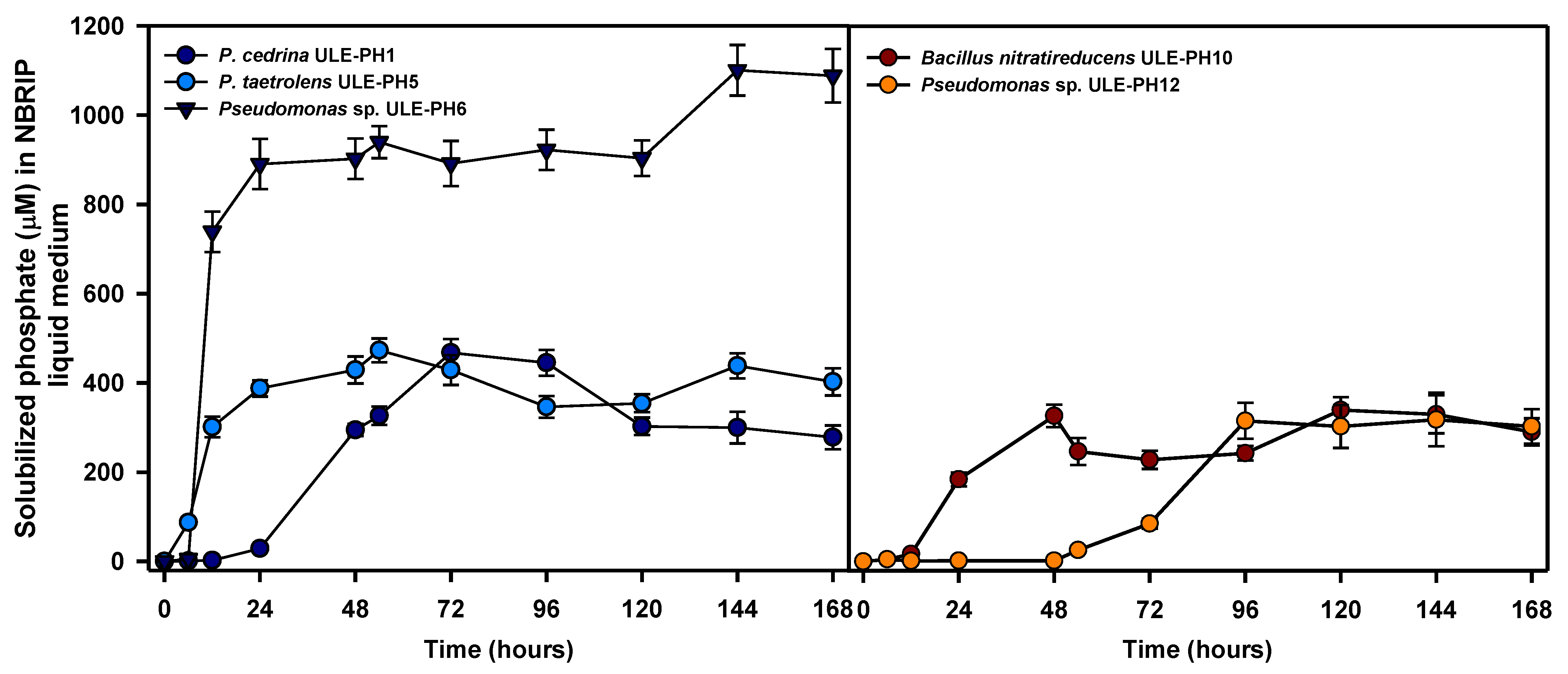 Plants 13 00402 g001