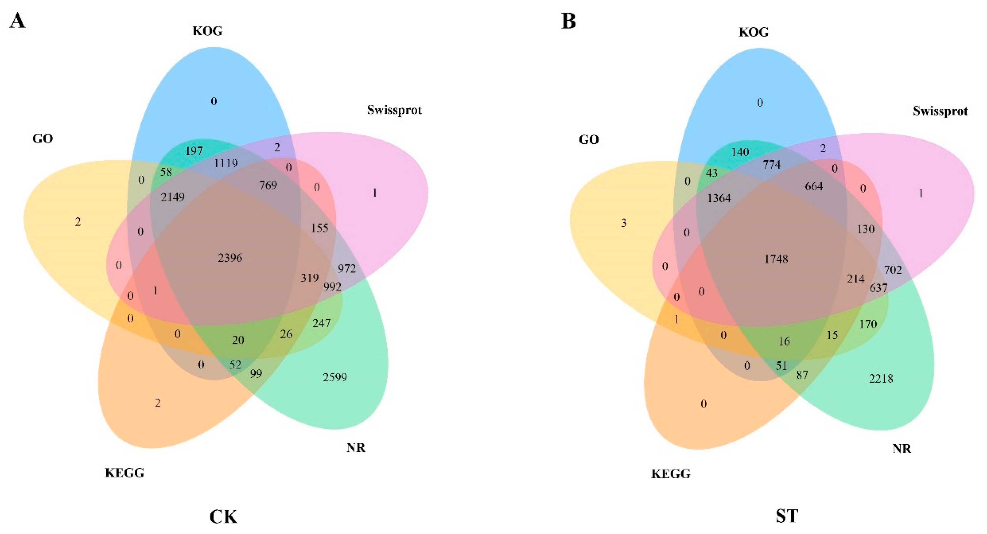 Plants 13 00405 g001