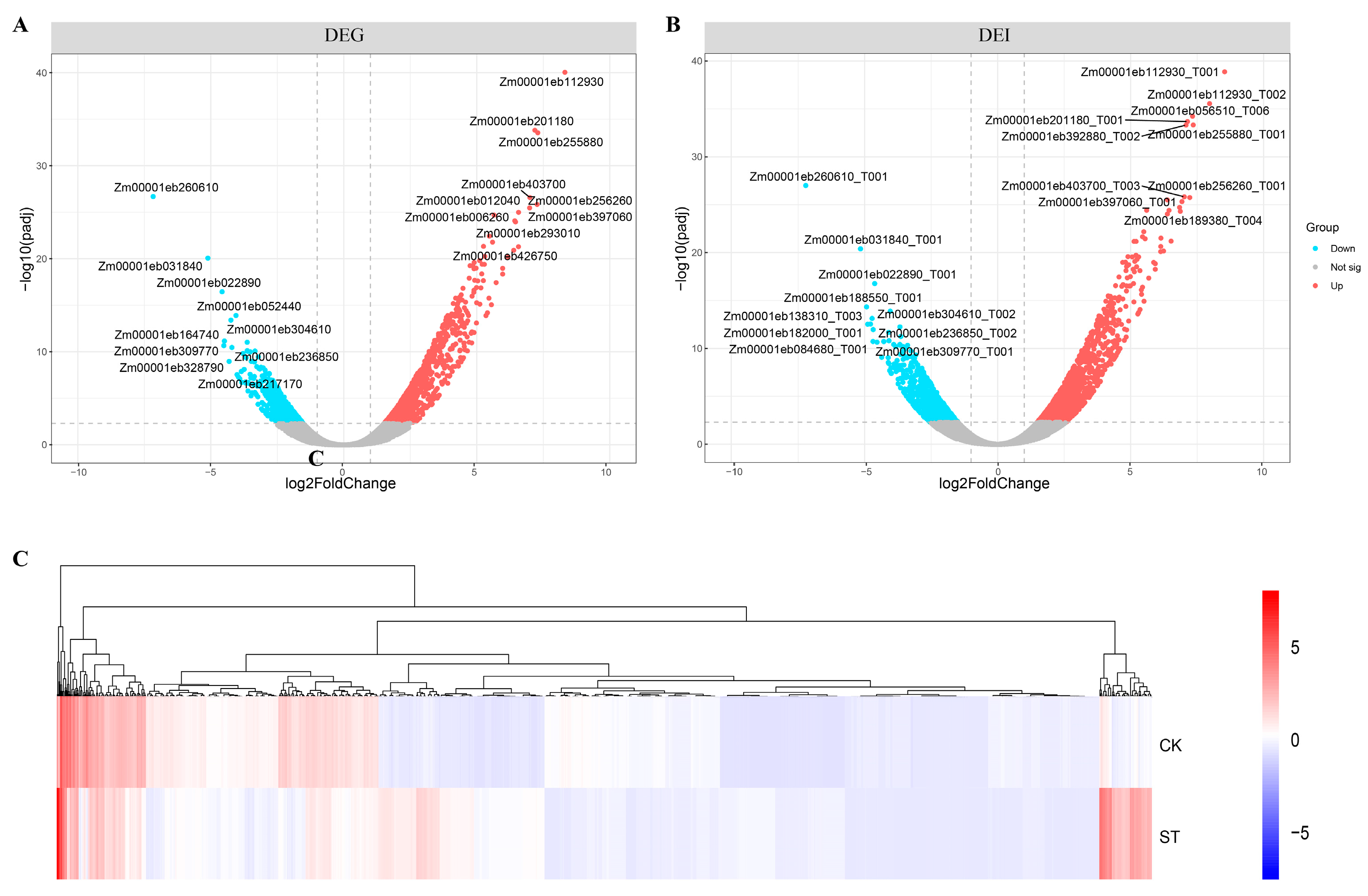 Plants 13 00405 g002