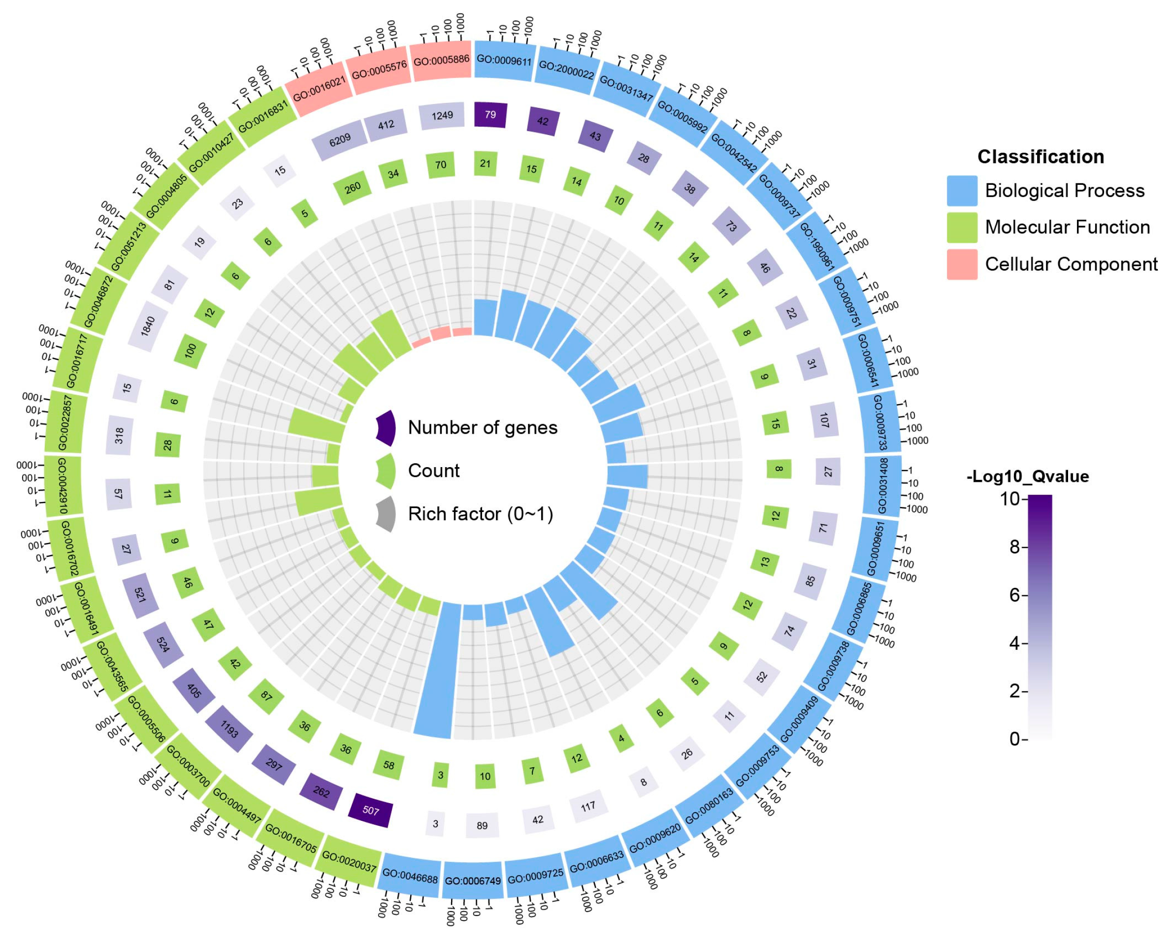 Plants 13 00405 g003