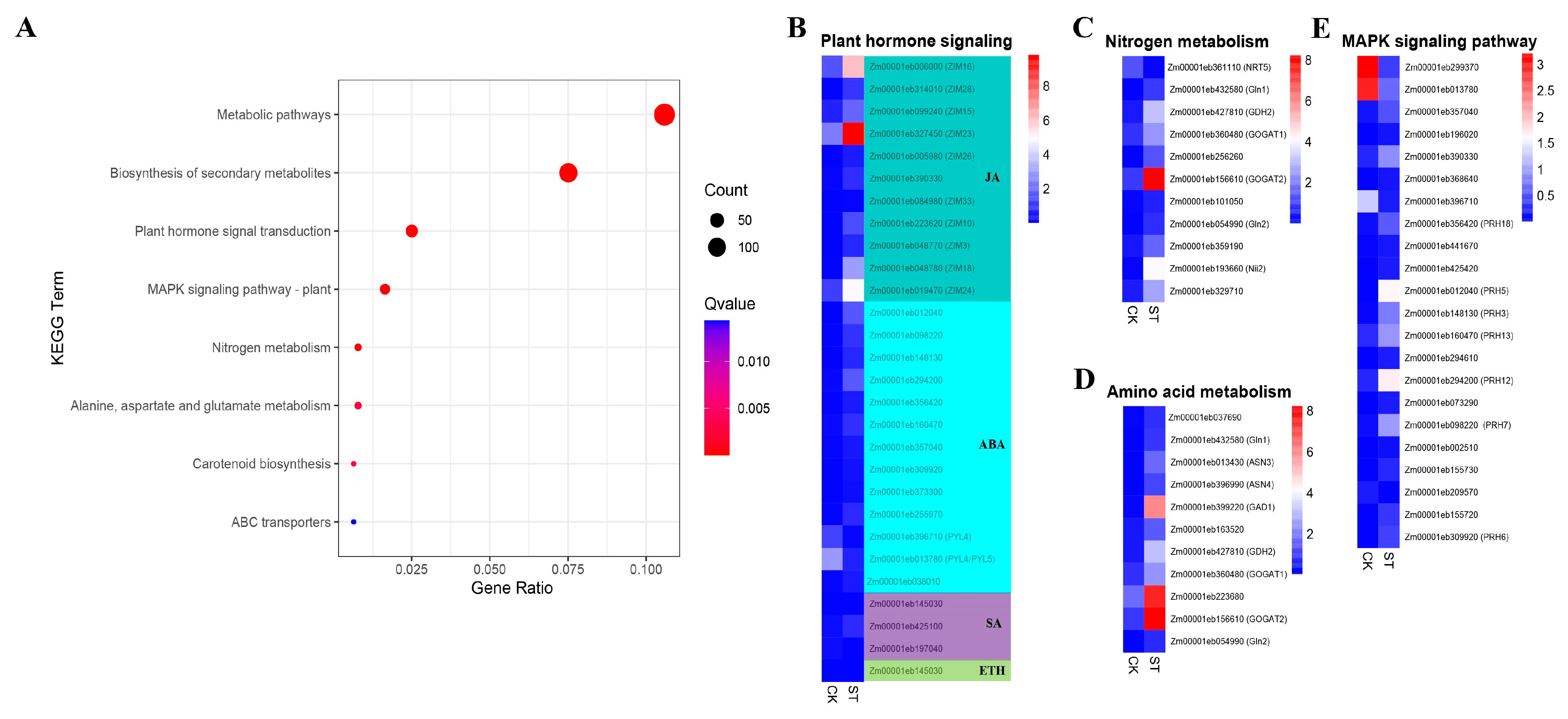 Plants 13 00405 g004