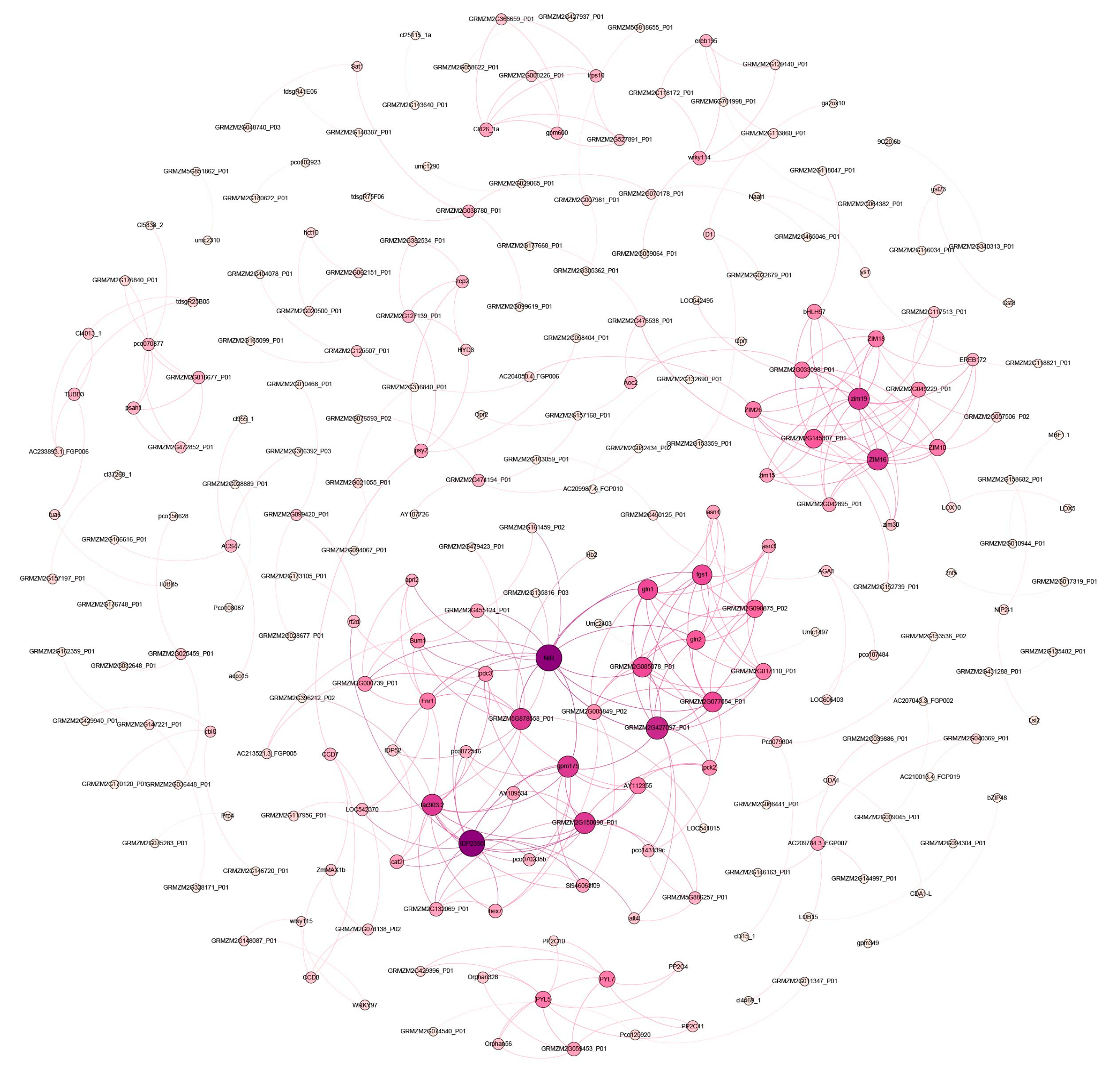 Plants 13 00405 g005