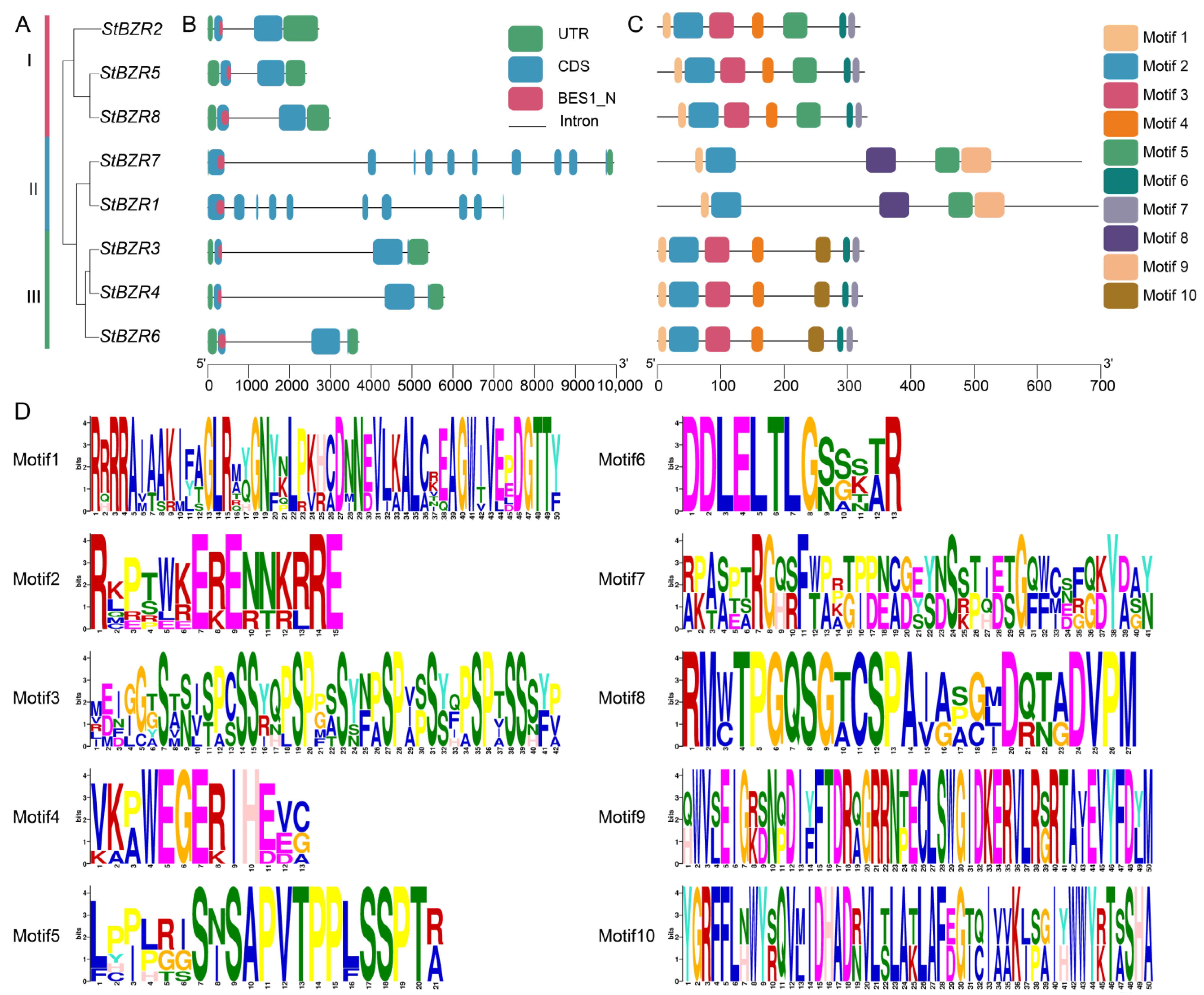 Plants 13 00407 g003