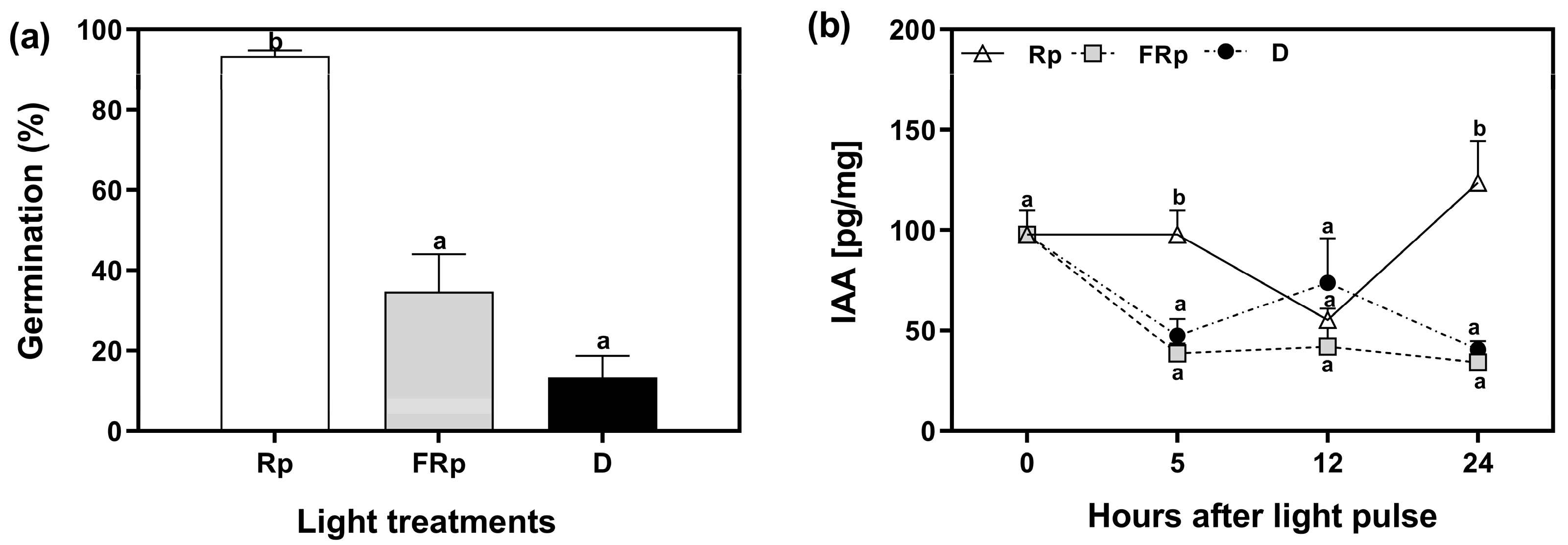 Plants 13 00408 g002