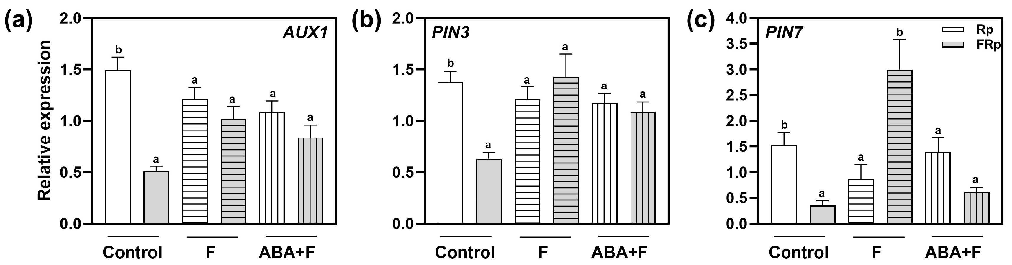 Plants 13 00408 g006