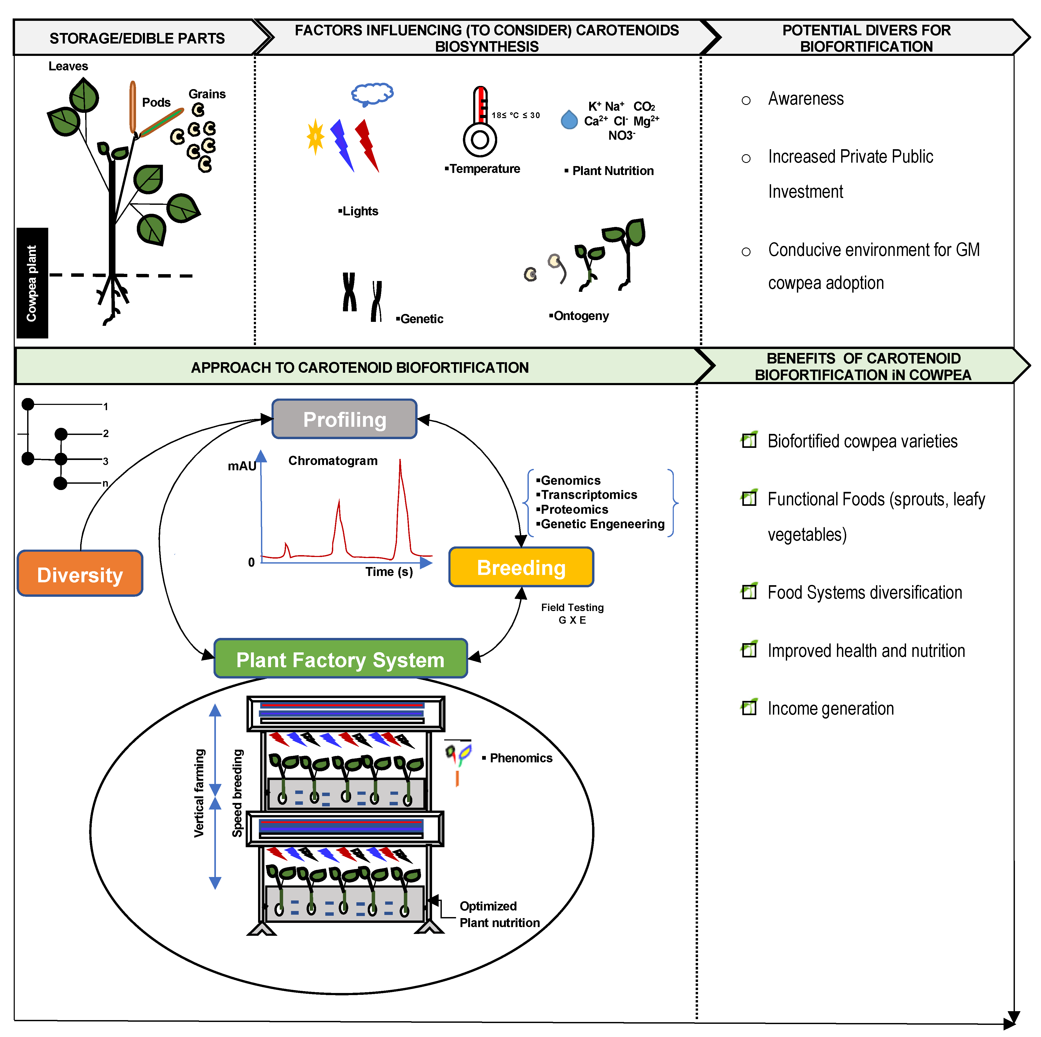Plants 13 00412 g003