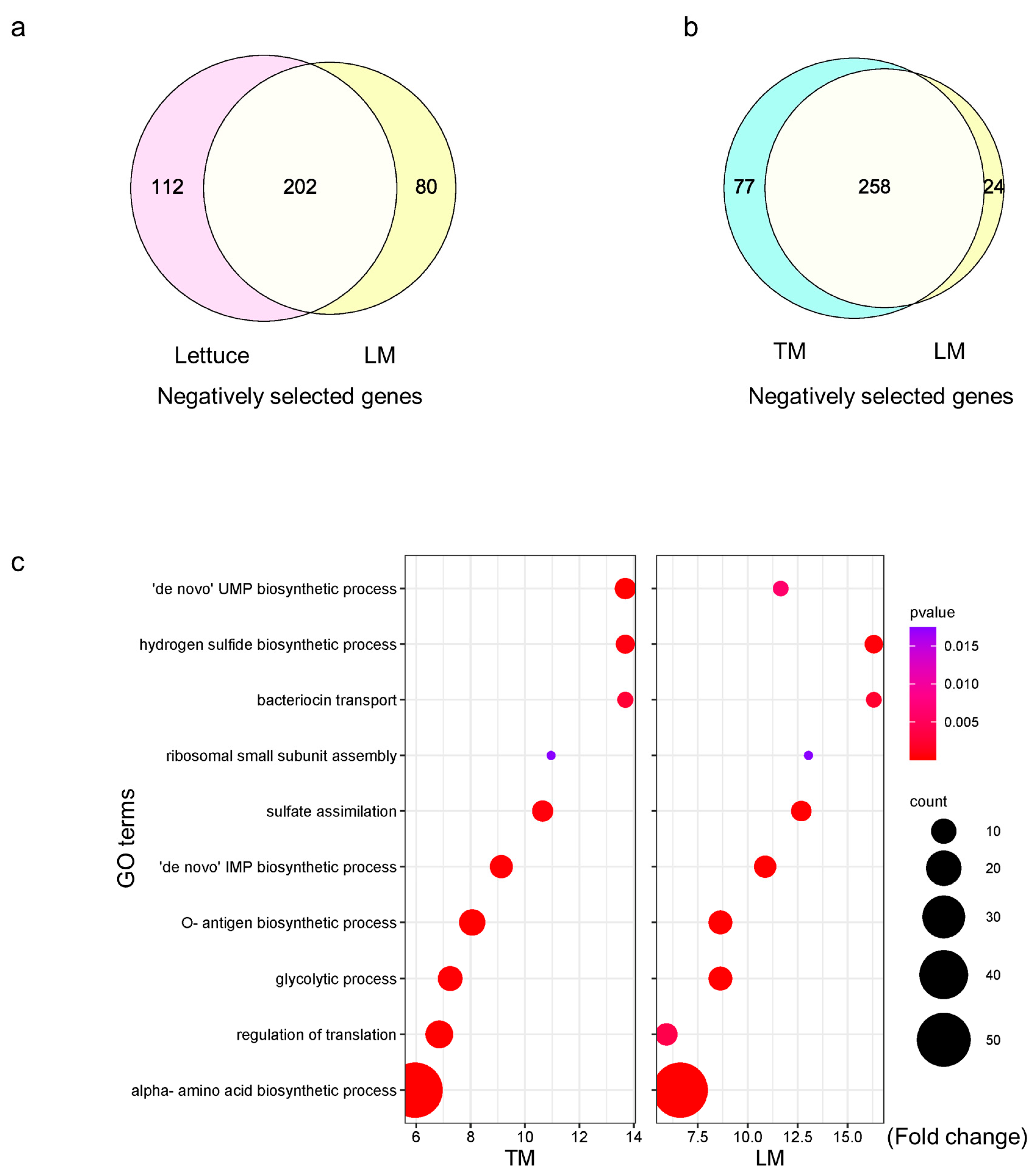 Plants 13 00414 g005