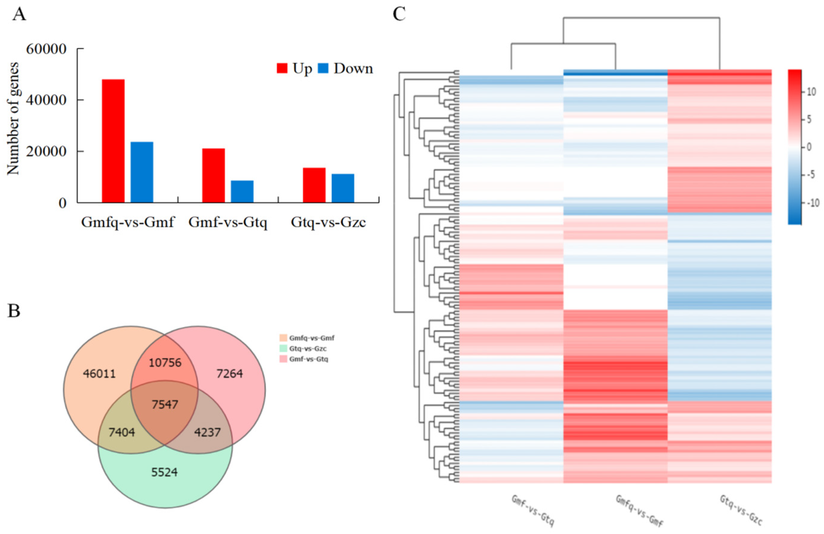Plants 13 00421 g001