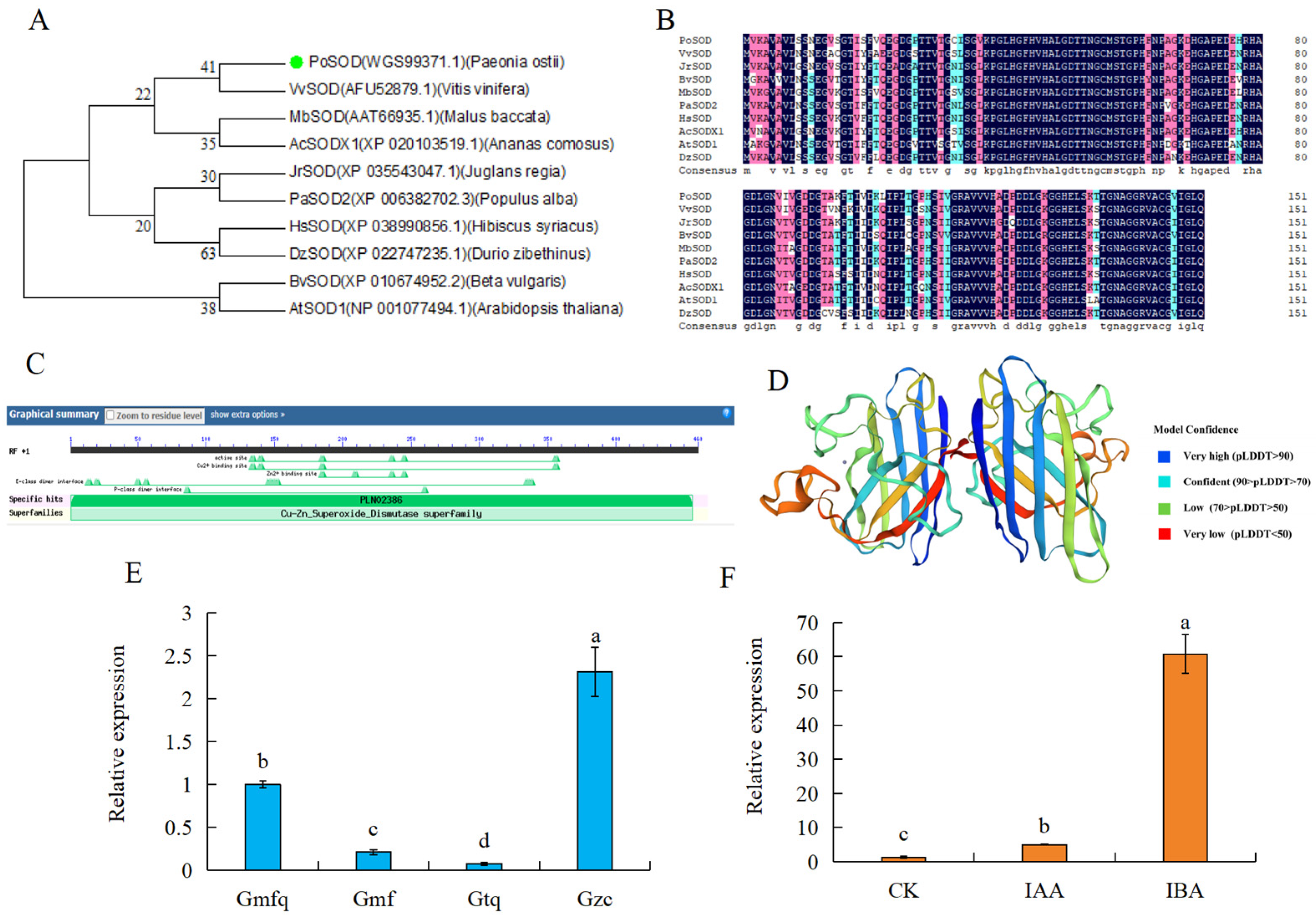Plants 13 00421 g006