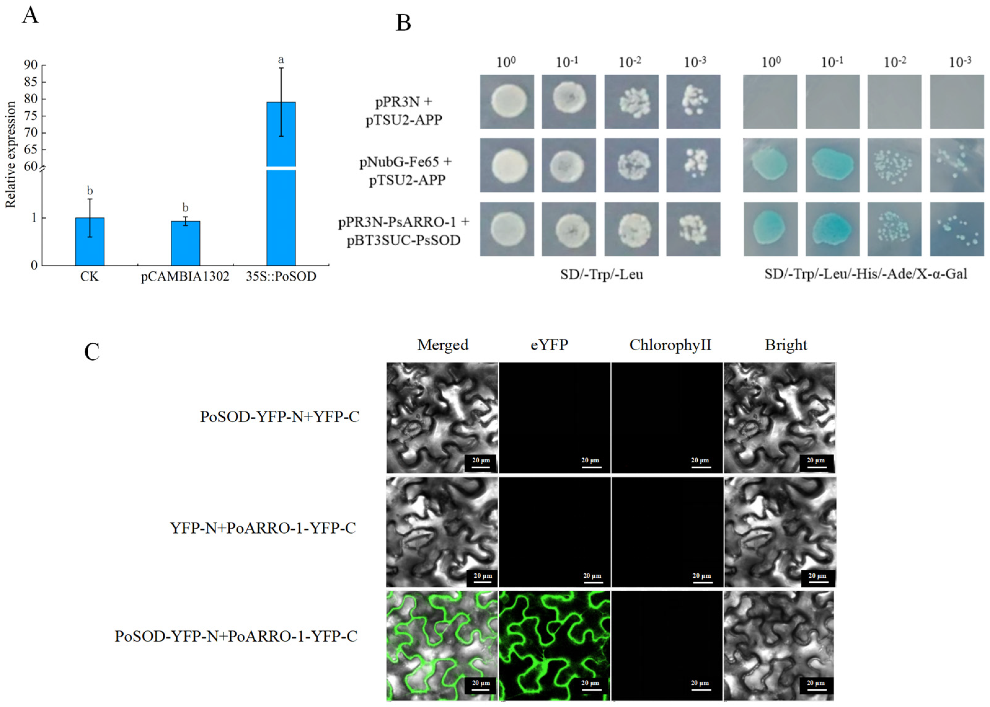 Plants 13 00421 g008