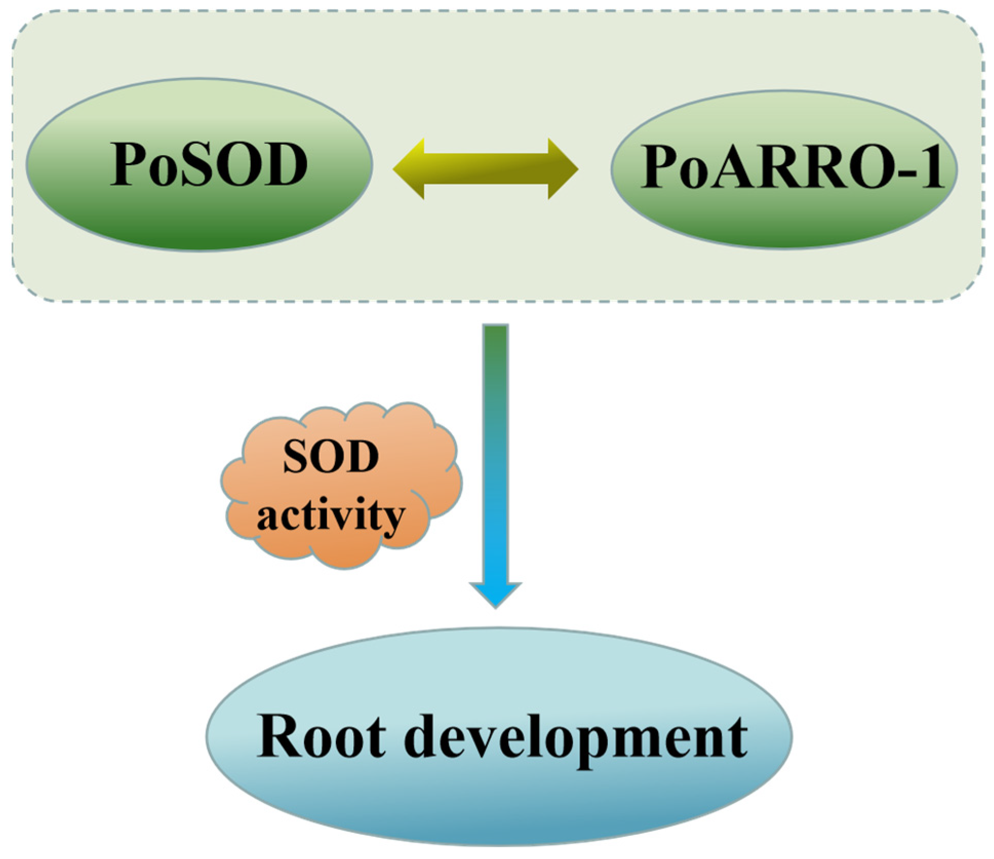 Plants 13 00421 g009