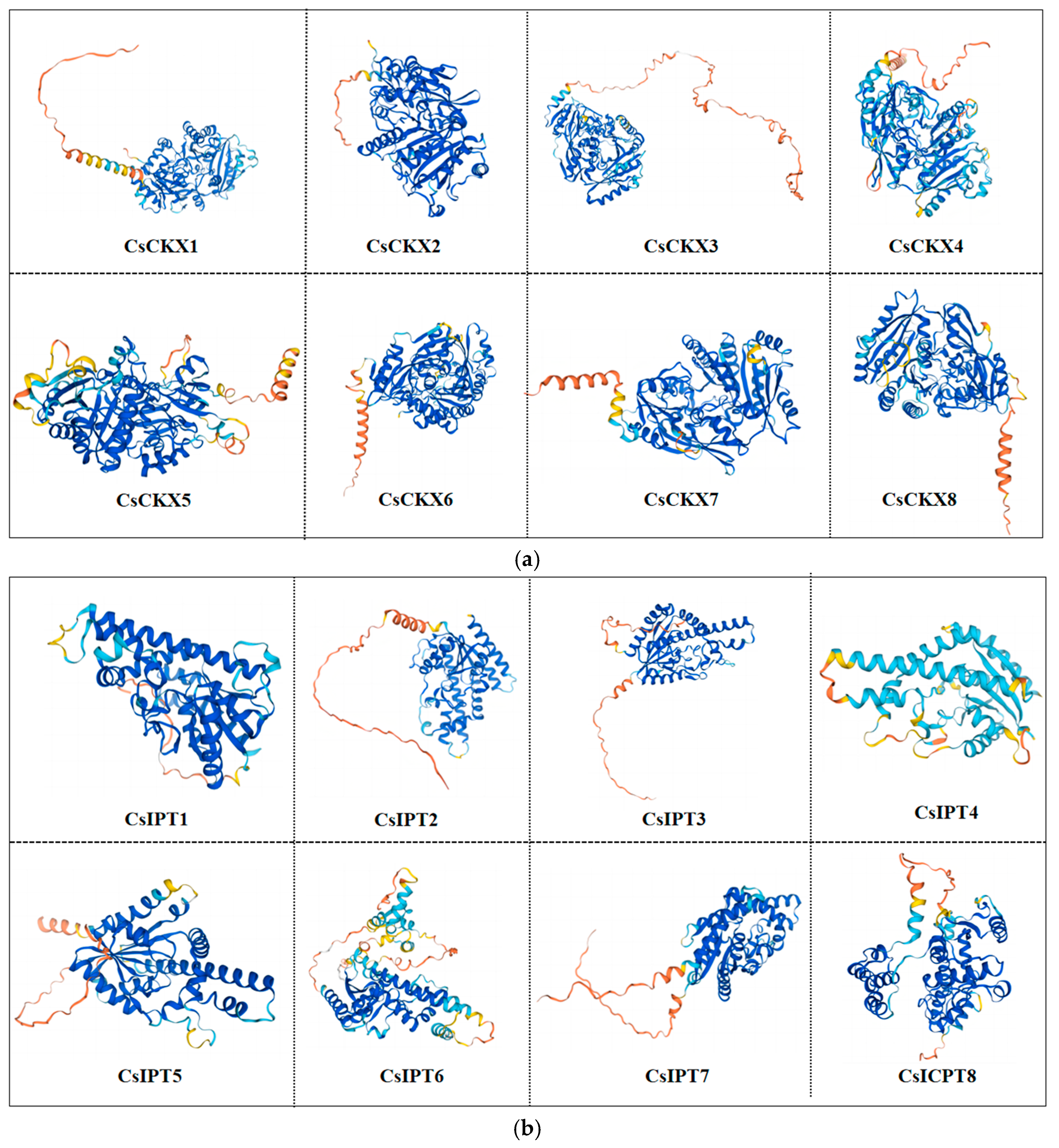 Plants 13 00422 g001